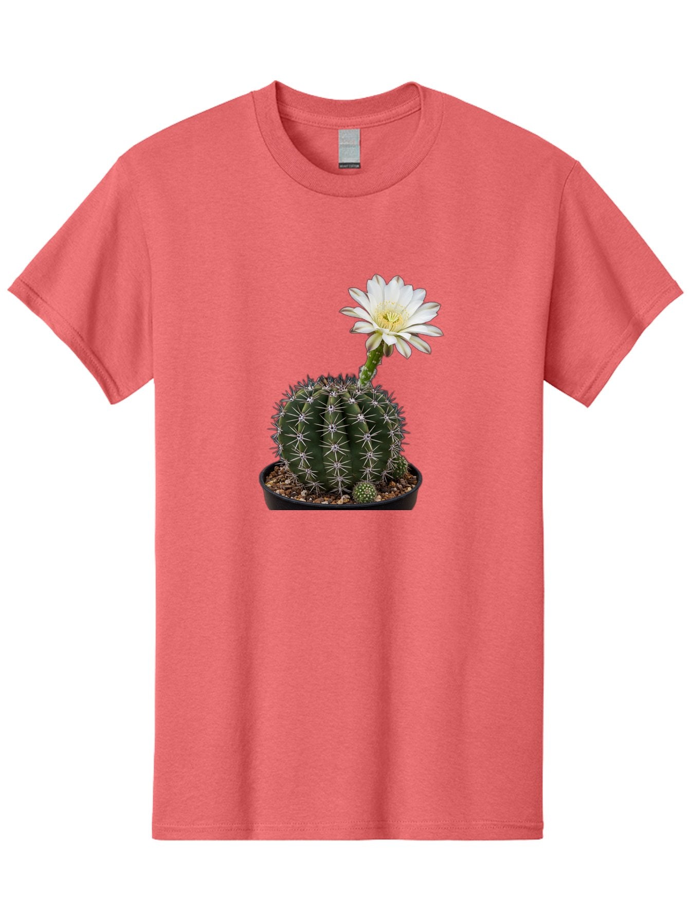 Cactus-With-White-Flower Men'S Graphic Tee, 100% Cotton, Comfortable Casual Summer Wear, Machine Washable, Cactus Plant, White Flower, Yellow Center, Spiky Texture, Potted Cactus, Succulent Bloom, Desert Flora, Floral Beauty, Cactus Flower, Bac769 3