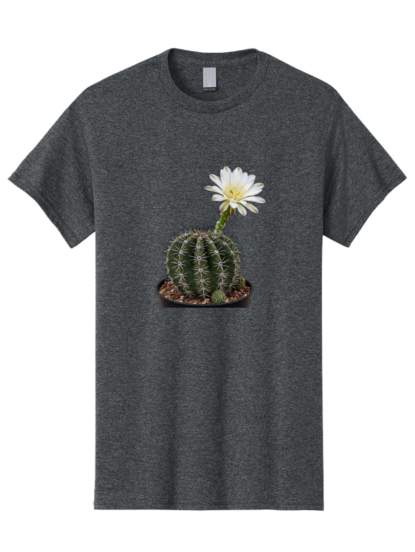 Cactus-With-White-Flower Men'S Graphic Tee, 100% Cotton, Comfortable Casual Summer Wear, Machine Washable, Cactus Plant, White Flower, Yellow Center, Spiky Texture, Potted Cactus, Succulent Bloom, Desert Flora, Floral Beauty, Cactus Flower, Bac769 9