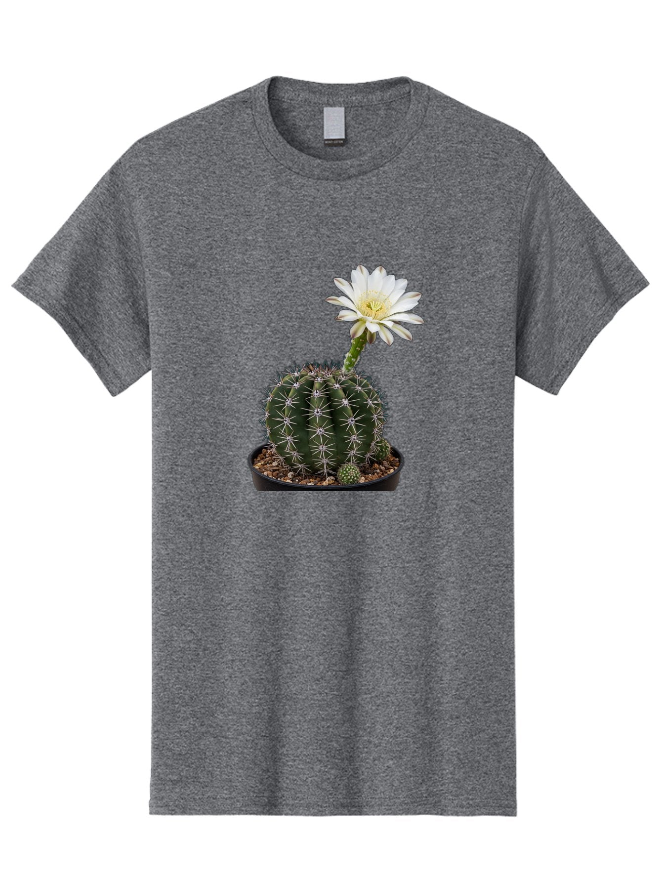 Cactus-With-White-Flower Men'S Graphic Tee, 100% Cotton, Comfortable Casual Summer Wear, Machine Washable, Cactus Plant, White Flower, Yellow Center, Spiky Texture, Potted Cactus, Succulent Bloom, Desert Flora, Floral Beauty, Cactus Flower, Bac769 13