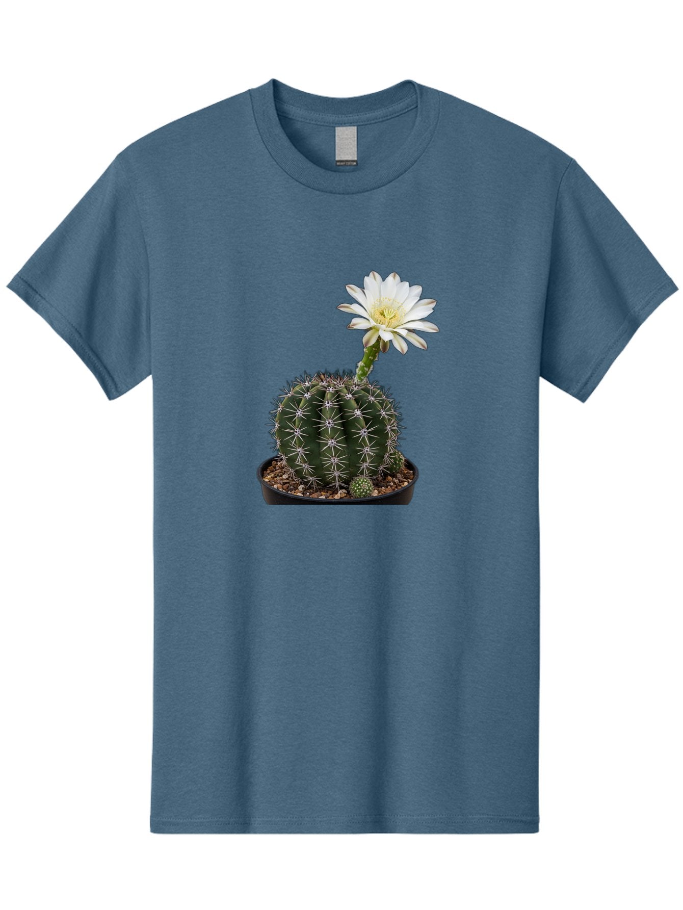 Cactus-With-White-Flower Men'S Graphic Tee, 100% Cotton, Comfortable Casual Summer Wear, Machine Washable, Cactus Plant, White Flower, Yellow Center, Spiky Texture, Potted Cactus, Succulent Bloom, Desert Flora, Floral Beauty, Cactus Flower, Bac769 10