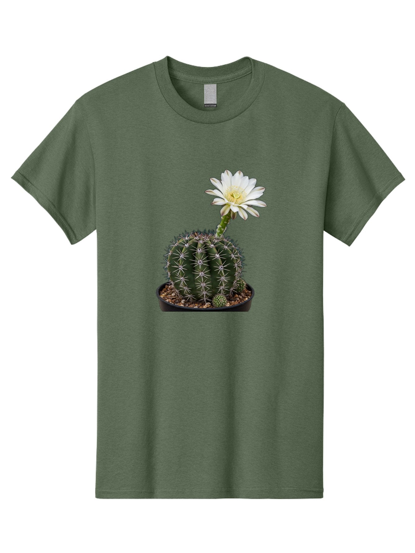 Cactus-With-White-Flower Men'S Graphic Tee, 100% Cotton, Comfortable Casual Summer Wear, Machine Washable, Cactus Plant, White Flower, Yellow Center, Spiky Texture, Potted Cactus, Succulent Bloom, Desert Flora, Floral Beauty, Cactus Flower, Bac769 15
