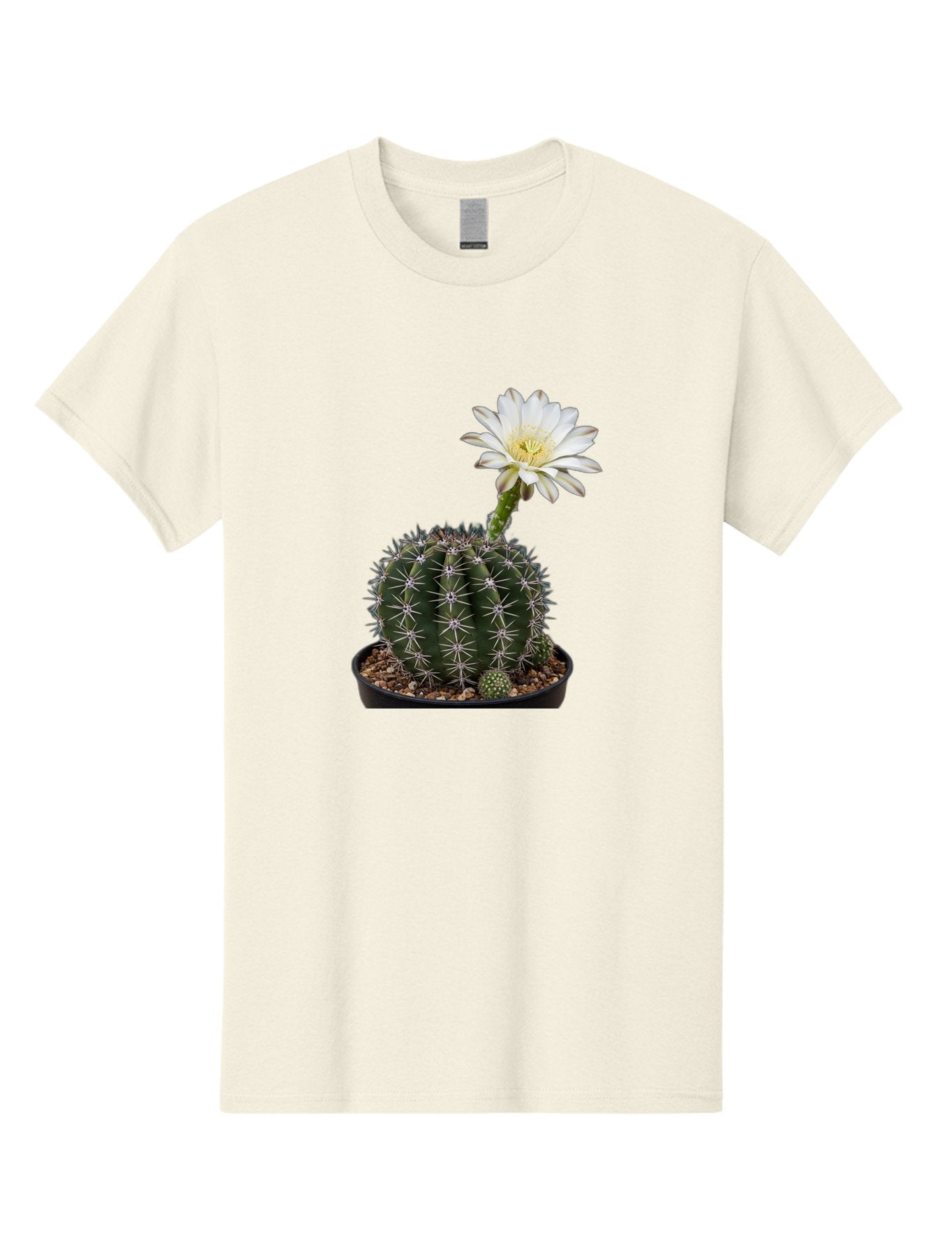 Cactus-With-White-Flower Men'S Graphic Tee, 100% Cotton, Comfortable Casual Summer Wear, Machine Washable, Cactus Plant, White Flower, Yellow Center, Spiky Texture, Potted Cactus, Succulent Bloom, Desert Flora, Floral Beauty, Cactus Flower, Bac769 8