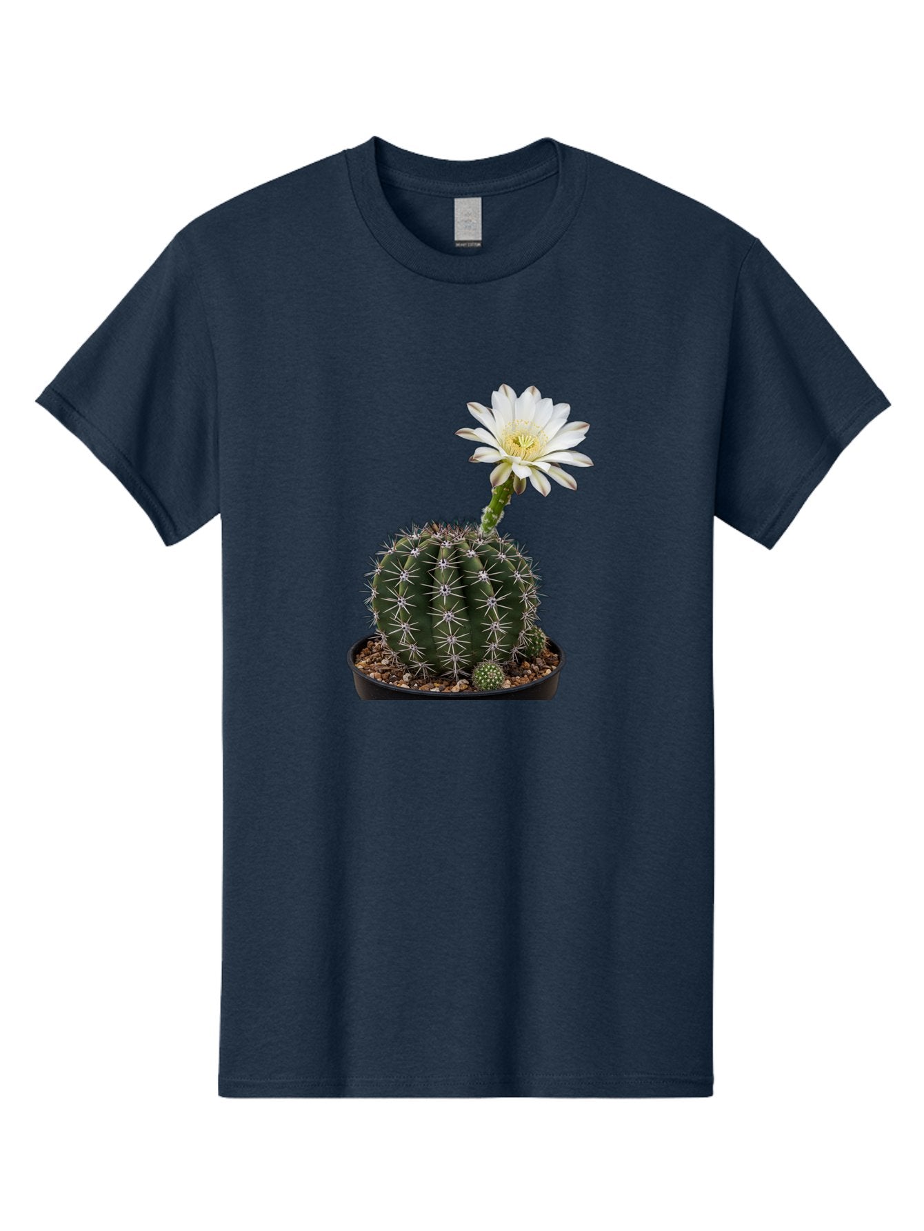 Cactus-With-White-Flower Men'S Graphic Tee, 100% Cotton, Comfortable Casual Summer Wear, Machine Washable, Cactus Plant, White Flower, Yellow Center, Spiky Texture, Potted Cactus, Succulent Bloom, Desert Flora, Floral Beauty, Cactus Flower, Bac769 12