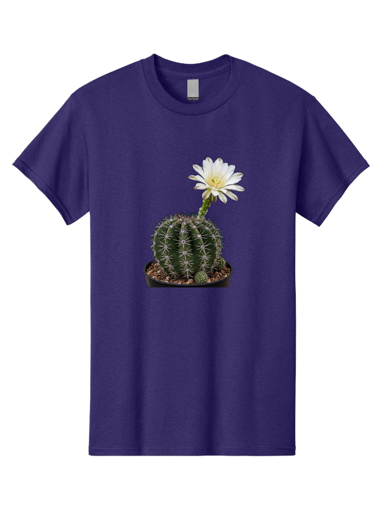 Cactus-With-White-Flower Men'S Graphic Tee, 100% Cotton, Comfortable Casual Summer Wear, Machine Washable, Cactus Plant, White Flower, Yellow Center, Spiky Texture, Potted Cactus, Succulent Bloom, Desert Flora, Floral Beauty, Cactus Flower, Bac769