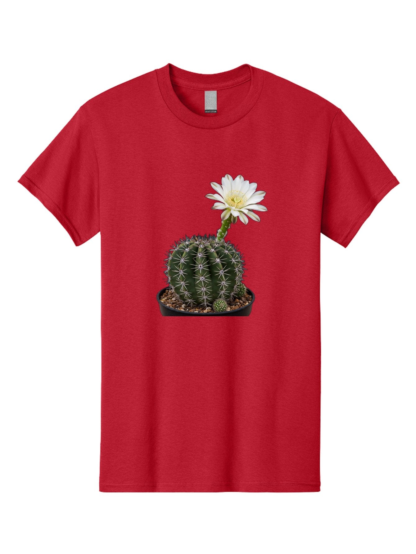 Cactus-With-White-Flower Men'S Graphic Tee, 100% Cotton, Comfortable Casual Summer Wear, Machine Washable, Cactus Plant, White Flower, Yellow Center, Spiky Texture, Potted Cactus, Succulent Bloom, Desert Flora, Floral Beauty, Cactus Flower, Bac769 5