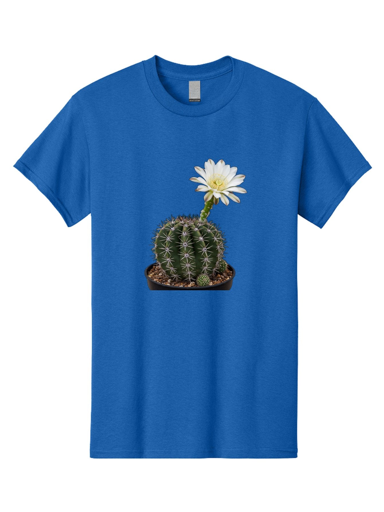 Cactus-With-White-Flower Men'S Graphic Tee, 100% Cotton, Comfortable Casual Summer Wear, Machine Washable, Cactus Plant, White Flower, Yellow Center, Spiky Texture, Potted Cactus, Succulent Bloom, Desert Flora, Floral Beauty, Cactus Flower, Bac769 4