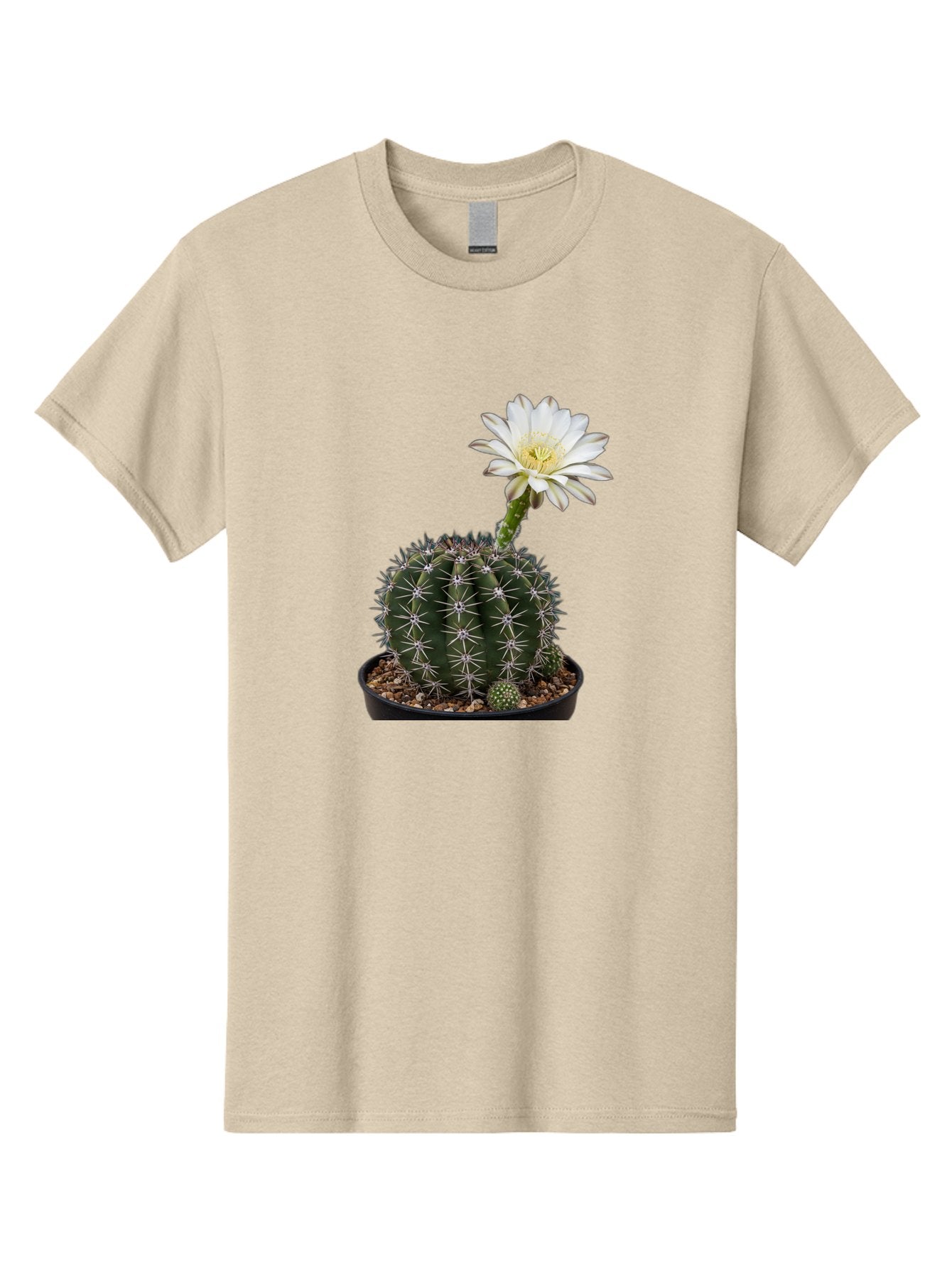 Cactus-With-White-Flower Men'S Graphic Tee, 100% Cotton, Comfortable Casual Summer Wear, Machine Washable, Cactus Plant, White Flower, Yellow Center, Spiky Texture, Potted Cactus, Succulent Bloom, Desert Flora, Floral Beauty, Cactus Flower, Bac769