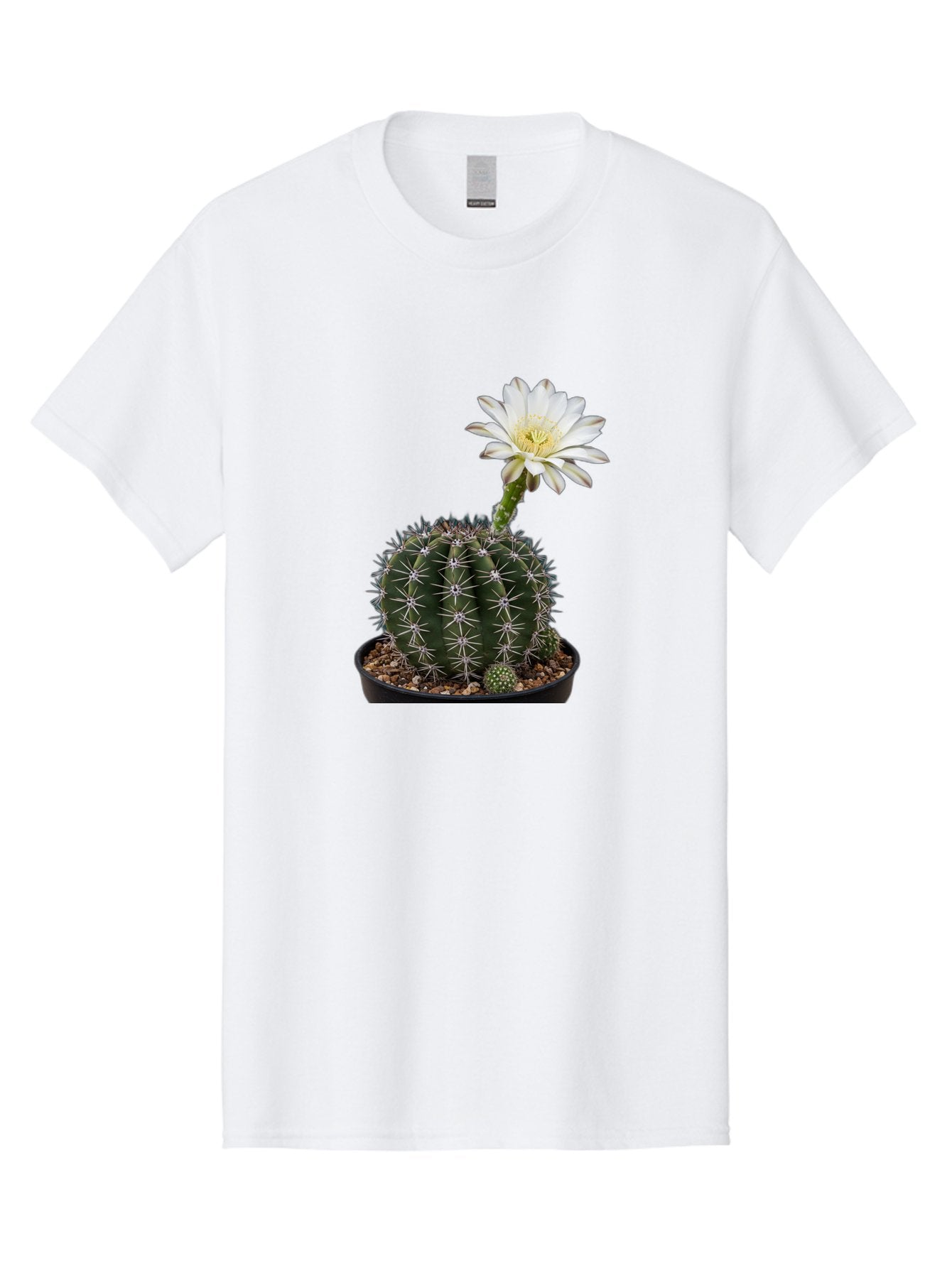Cactus-With-White-Flower Men'S Graphic Tee, 100% Cotton, Comfortable Casual Summer Wear, Machine Washable, Cactus Plant, White Flower, Yellow Center, Spiky Texture, Potted Cactus, Succulent Bloom, Desert Flora, Floral Beauty, Cactus Flower, Bac769 11