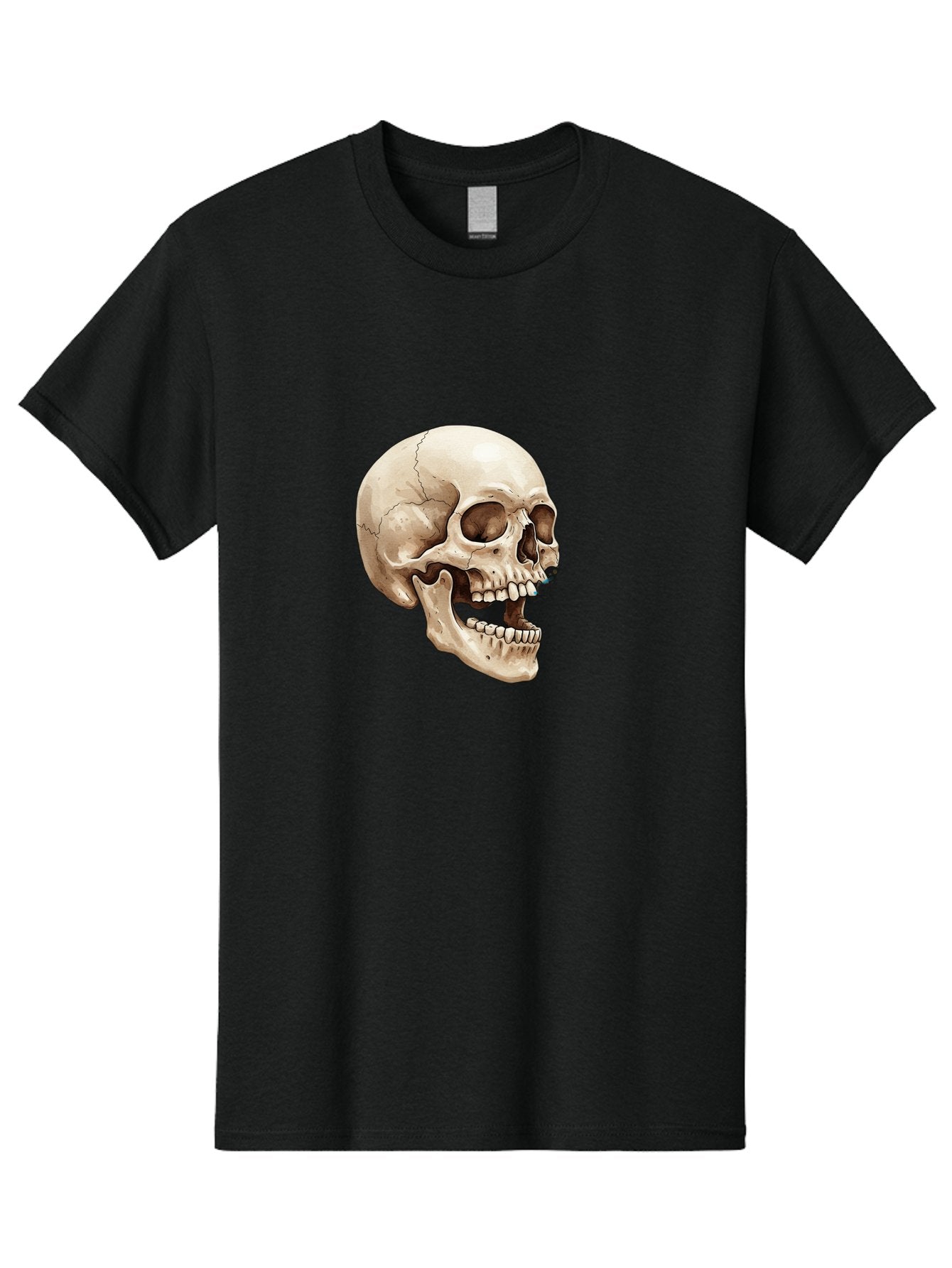 Skull Men'S Graphic Tee, 100% Cotton, Comfortable Casual Summer Wear, Machine Washable, Human Skull, Skeletal Head, Jawbone, Teeth, Anatomy, Bones, Forensic Science, Medical Illustration, Skull Structure Bad627 4