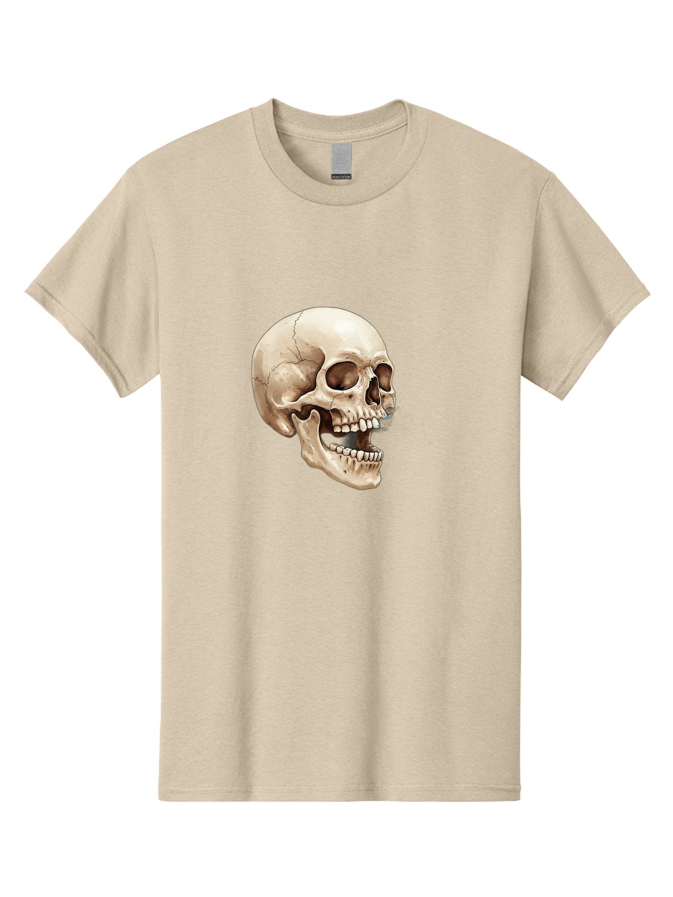 Skull Men'S Graphic Tee, 100% Cotton, Comfortable Casual Summer Wear, Machine Washable, Human Skull, Skeletal Head, Jawbone, Teeth, Anatomy, Bones, Forensic Science, Medical Illustration, Skull Structure Bad627 14