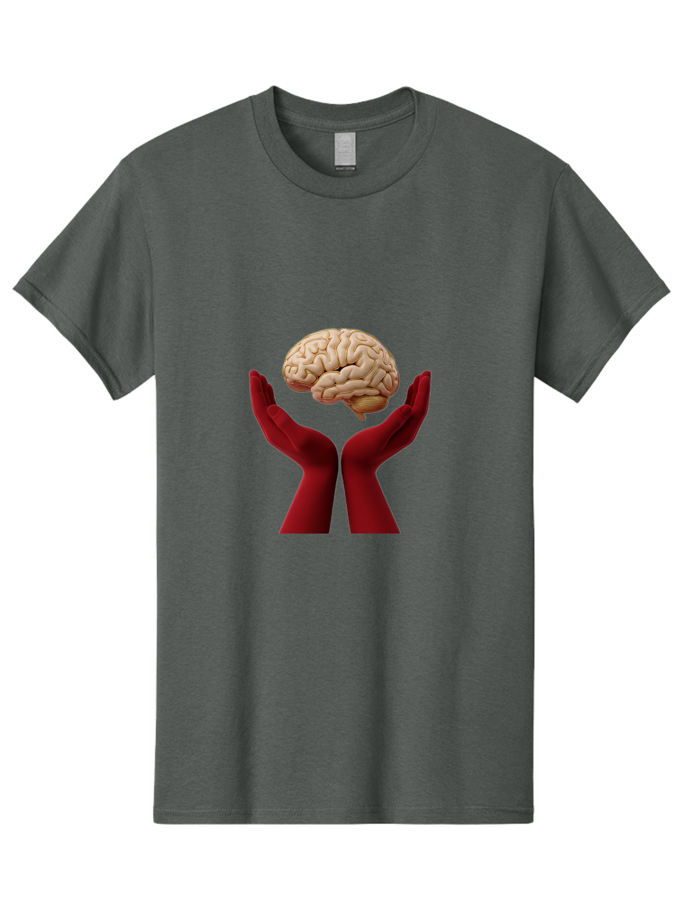 Hands-Holding-Brain-1 Men'S Graphic Tee, 100% Cotton, Comfortable Casual Summer Wear, Machine Washable, Human Brain, Hands Holding Brain, Cognitive Function, Neuroscience, Human Anatomy, Red Gloves, Realistic Brain Model, Medical Illustration, Bae029 13