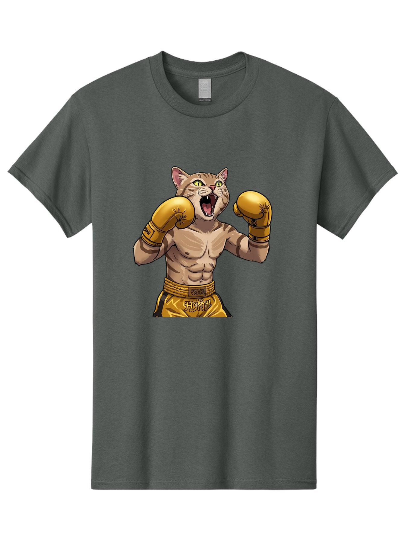 Cat-Fighter Men'S Graphic Tee, 100% Cotton, Comfortable Casual Summer Wear, Machine Washable, Cartoon Cat, Boxer Cat, Boxing Gloves, Martial Arts, Fitness, Anthropomorphic Animal, Fighting Stance, Strong Cat, Muscular Cat, Bae398