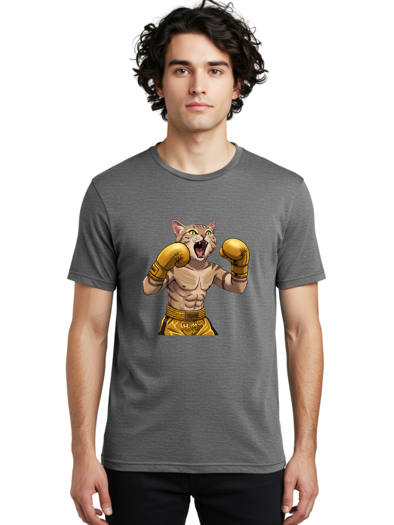 Cat-Fighter Men'S Graphic Tee, 100% Cotton, Comfortable Casual Summer Wear, Machine Washable, Cartoon Cat, Boxer Cat, Boxing Gloves, Martial Arts, Fitness, Anthropomorphic Animal, Fighting Stance, Strong Cat, Muscular Cat, Bae398 16