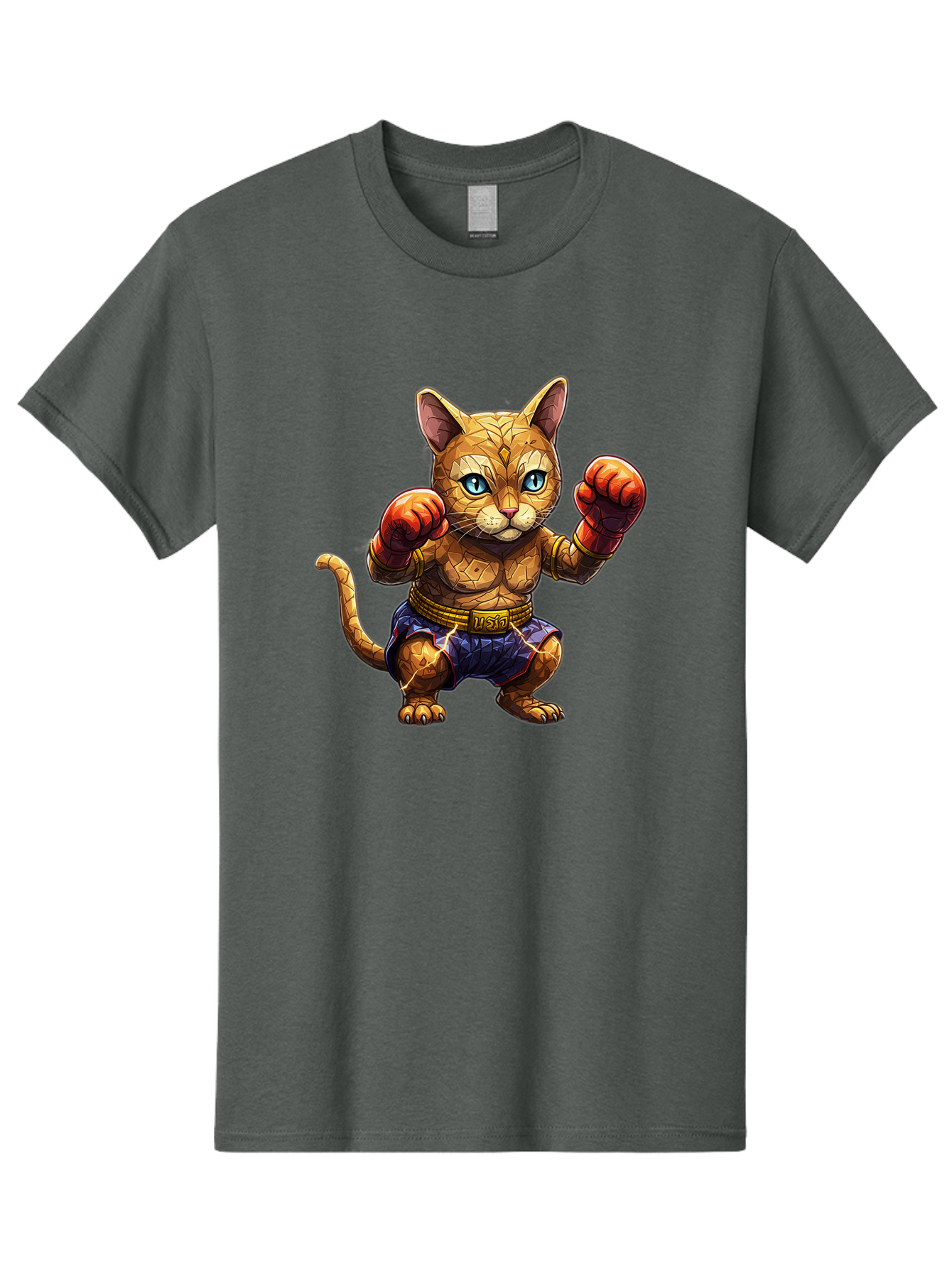 Kung-Fu-Cat-1 Men'S Graphic Tee, 100% Cotton, Comfortable Casual Summer Wear, Machine Washable, Cartoon Cat With Boxing Gloves, Muscular Cat, Fighting Stance, Blue Shorts, Gold Belt, Tiger-Like, Orange Fur, Intense Stare, Athletic Build, Bae481 13