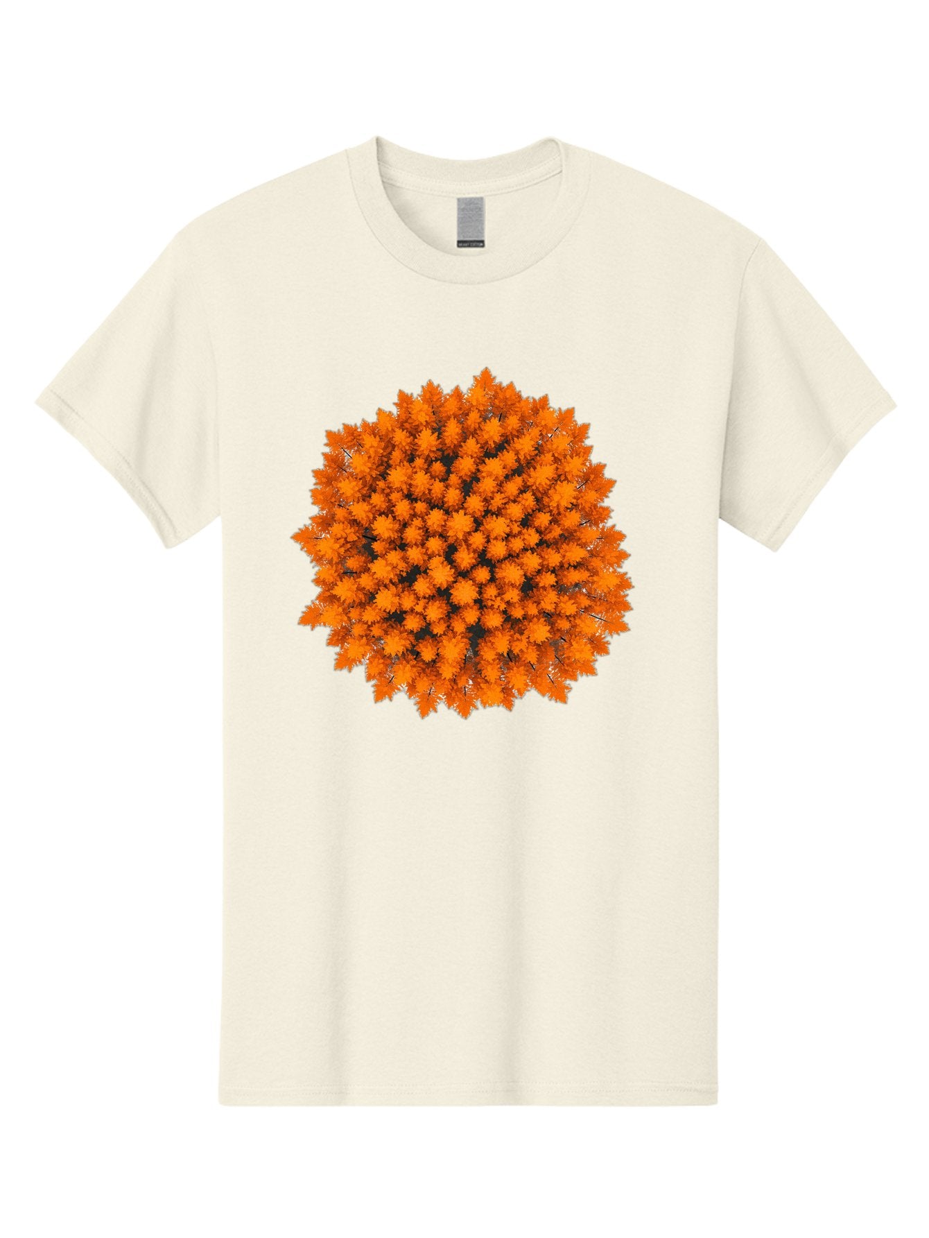 Forest-Canopy Men'S Graphic Tee, 100% Cotton, Comfortable Casual Summer Wear, Machine Washable, Vintage Camera, Old Camera, Antique Camera, Black Camera, Classic Photography, Photography Equipment, Nostalgic Device, Film Camera, Camera Art Baf097 7