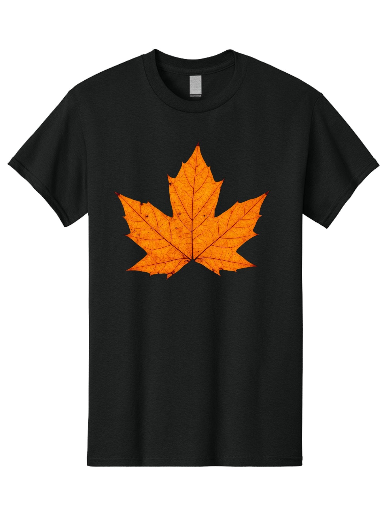 Maple-Leaf-2 Men'S Graphic Tee, 100% Cotton, Comfortable Casual Summer Wear, Machine Washable, Vintage Camera, Old Camera, Antique Camera, Black Camera, Classic Photography, Photography Equipment, Nostalgic Device, Film Camera, Camera Art Baf202 3