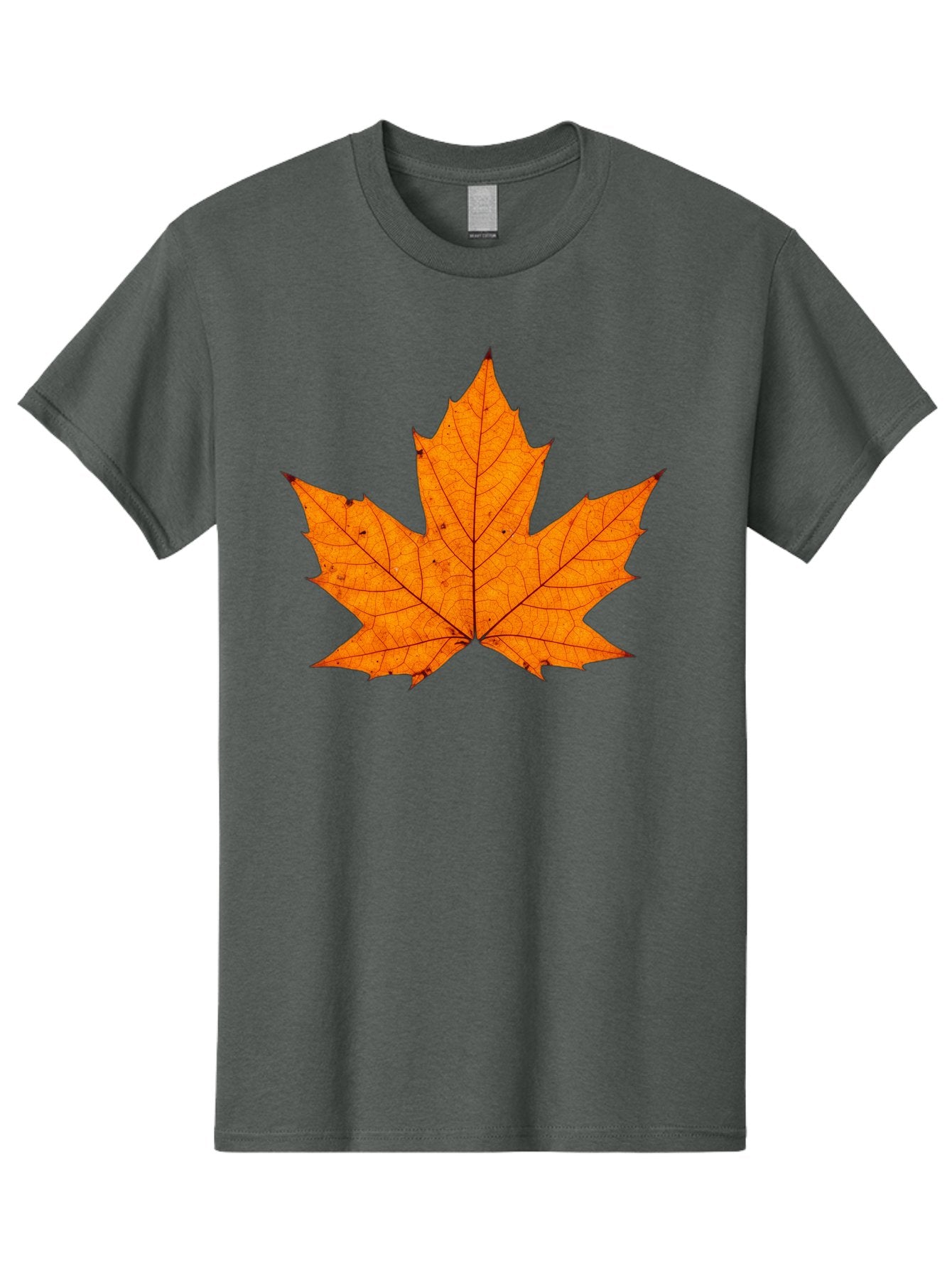 Maple-Leaf-2 Men'S Graphic Tee, 100% Cotton, Comfortable Casual Summer Wear, Machine Washable, Vintage Camera, Old Camera, Antique Camera, Black Camera, Classic Photography, Photography Equipment, Nostalgic Device, Film Camera, Camera Art Baf202 12