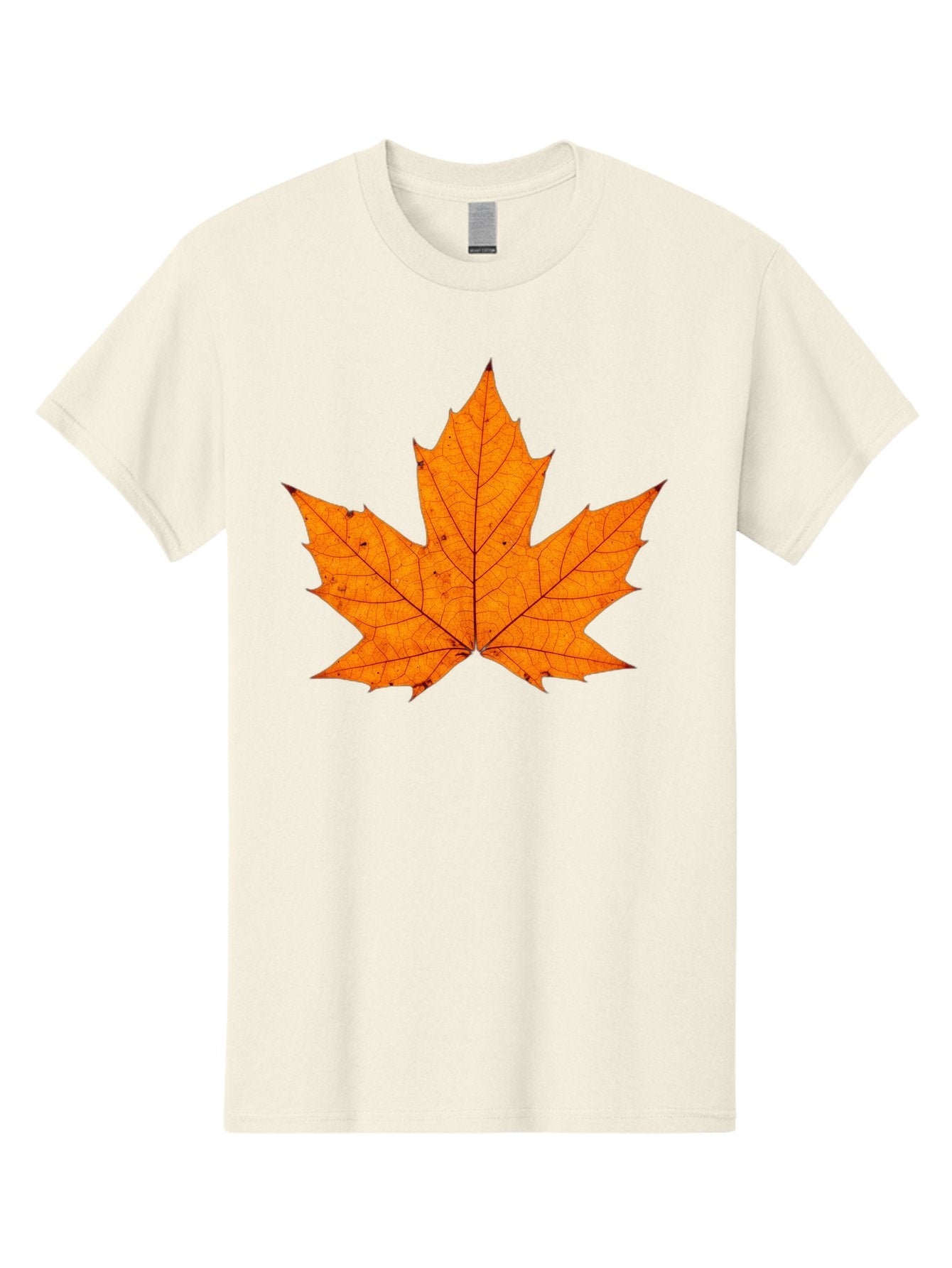 Maple-Leaf-2 Men'S Graphic Tee, 100% Cotton, Comfortable Casual Summer Wear, Machine Washable, Vintage Camera, Old Camera, Antique Camera, Black Camera, Classic Photography, Photography Equipment, Nostalgic Device, Film Camera, Camera Art Baf202 14