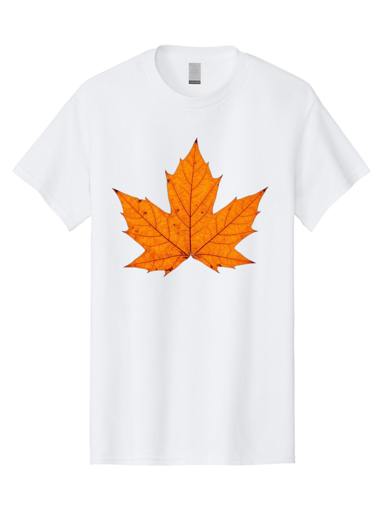 Maple-Leaf-2 Men'S Graphic Tee, 100% Cotton, Comfortable Casual Summer Wear, Machine Washable, Vintage Camera, Old Camera, Antique Camera, Black Camera, Classic Photography, Photography Equipment, Nostalgic Device, Film Camera, Camera Art Baf202 6