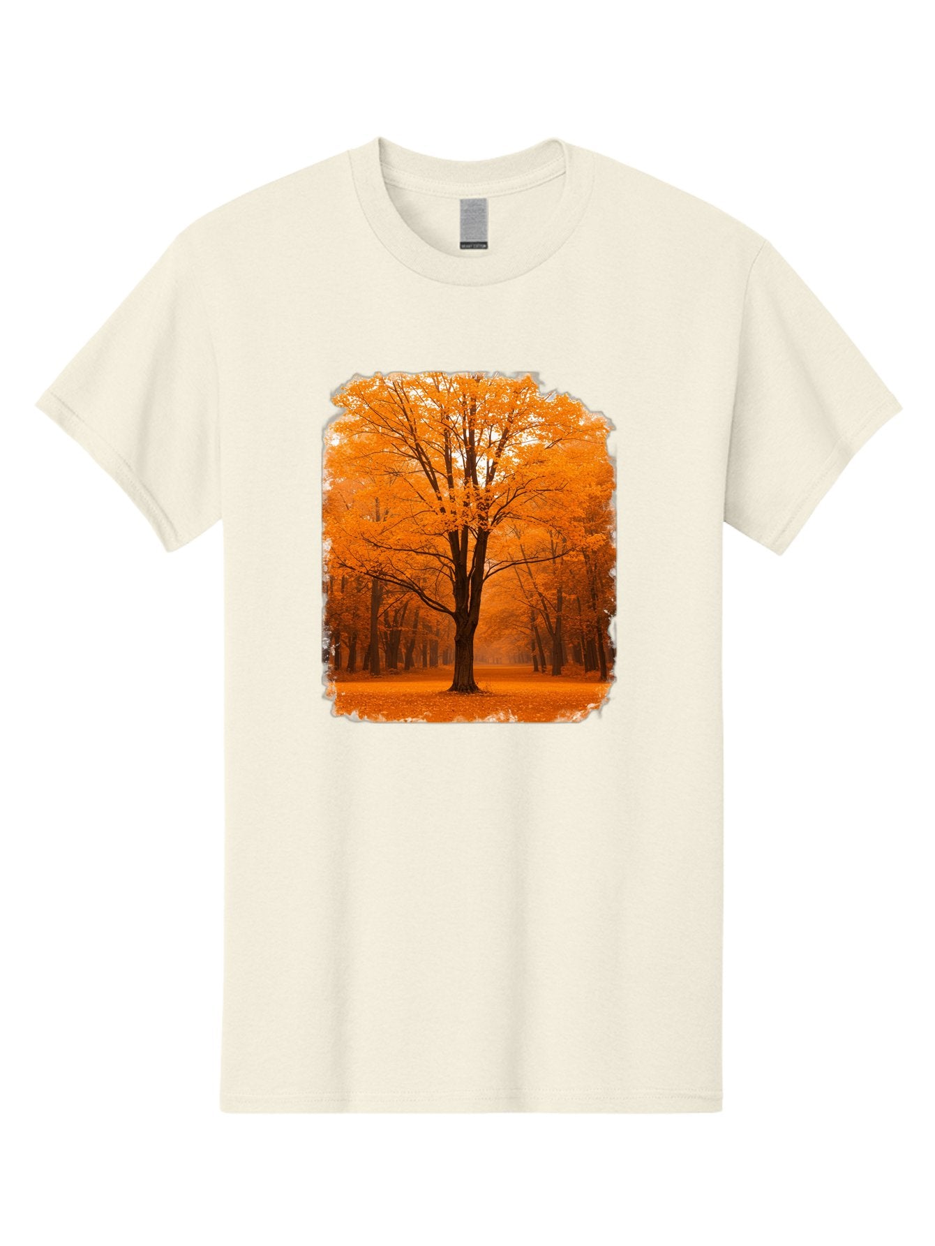 Orange-Tree Men'S Graphic Tee, 100% Cotton, Comfortable Casual Summer Wear, Machine Washable, Vintage Camera, Old Camera, Antique Camera, Black Camera, Classic Photography, Photography Equipment, Nostalgic Device, Film Camera, Camera Art Baf247 11