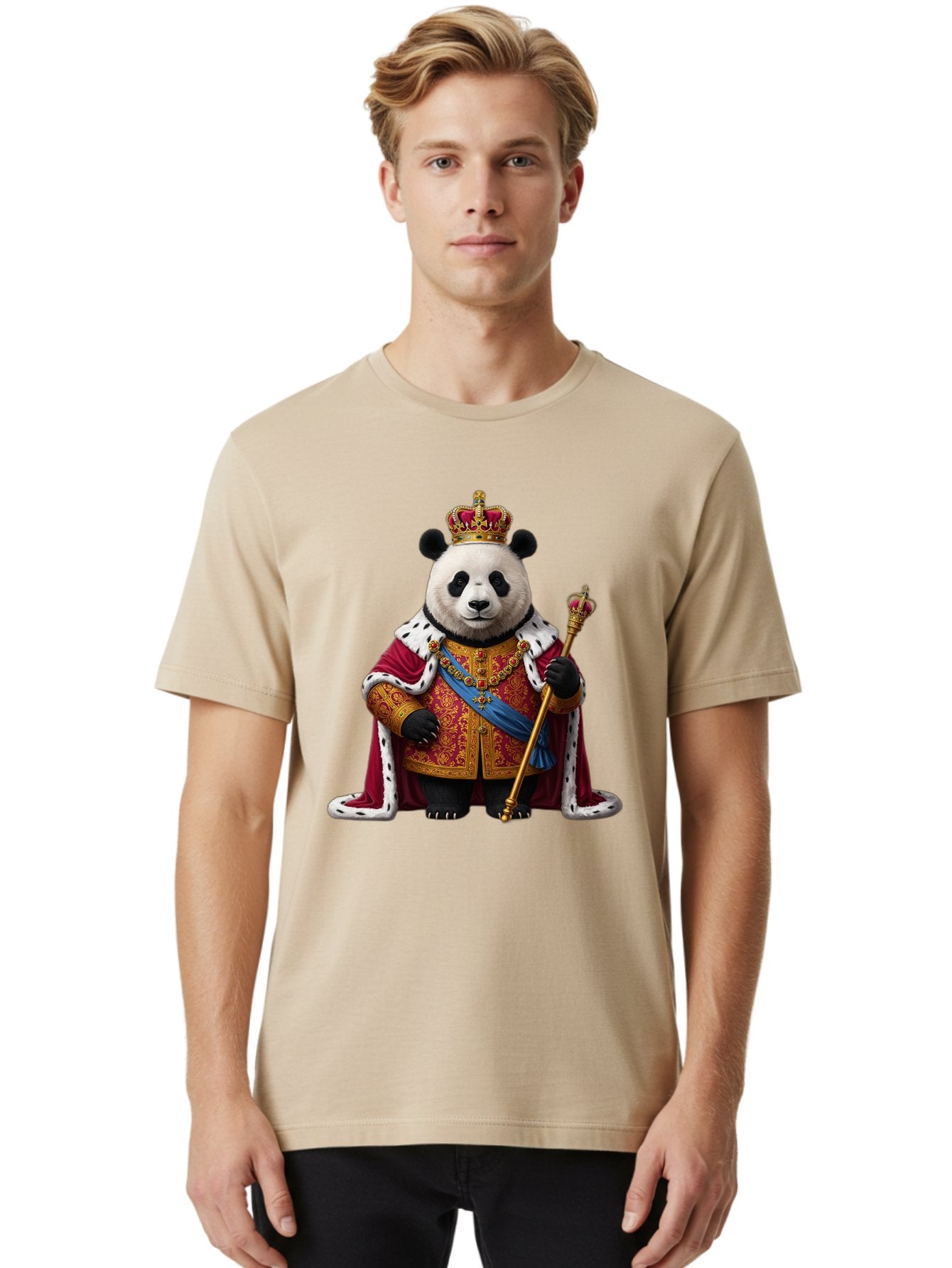 Panda-King Men'S Graphic Tee, 100% Cotton, Comfortable Casual Summer Wear, Machine Washable, Vintage Camera, Old Camera, Antique Camera, Black Camera, Classic Photography, Photography Equipment, Nostalgic Device, Film Camera, Camera Art Baf302 18