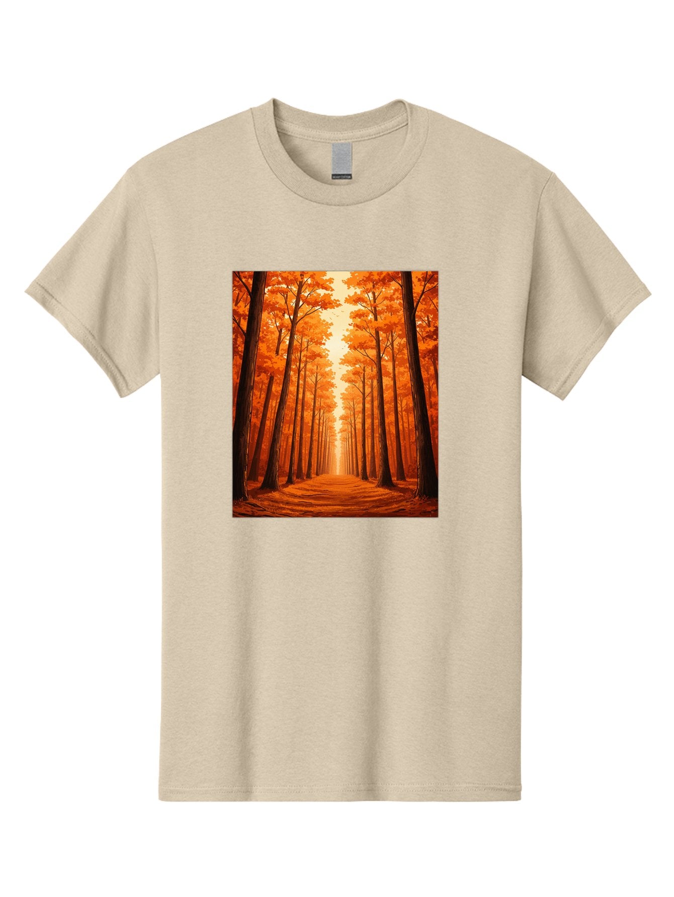 Tree-Lined-Pathway Men'S Graphic Tee, 100% Cotton, Comfortable Casual Summer Wear, Machine Washable, Vintage Camera, Old Camera, Antique Camera, Black Camera, Classic Photography, Photography Equipment, Nostalgic Device, Film Camera, Baf603 6