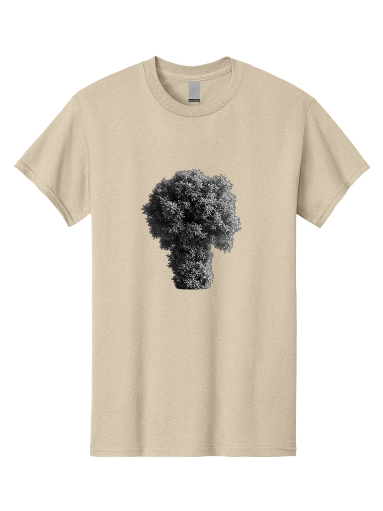 Mushroom-Cloud Men'S Graphic Tee, 100% Cotton, Comfortable Casual Summer Wear, Machine Washable, Vintage Camera, Old Camera, Antique Camera, Black Camera, Classic Photography, Photography Equipment, Nostalgic Device, Film Camera, Camera Art Bag837 7
