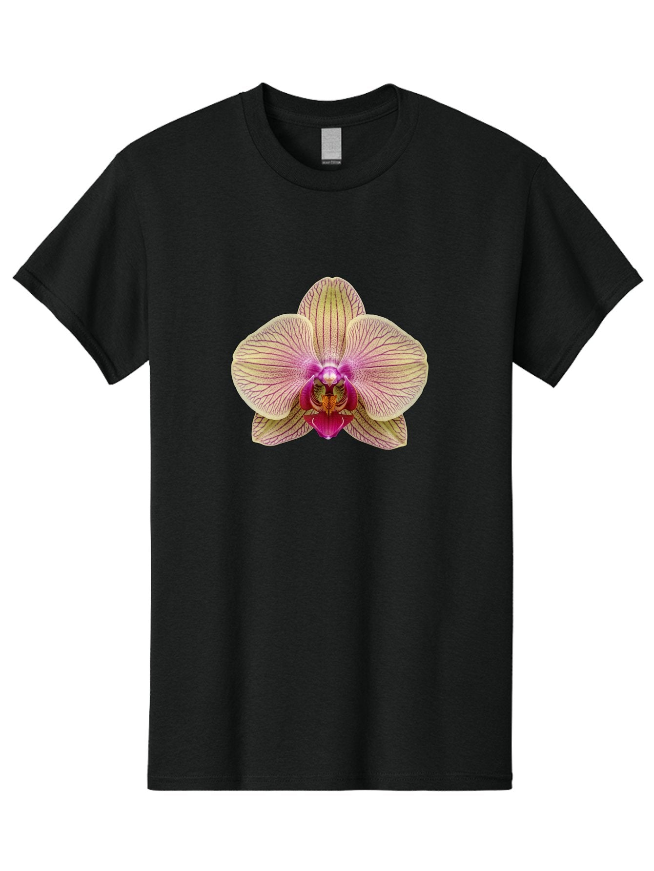 Orchid Men'S Graphic Tee, 100% Cotton, Comfortable Casual Summer Wear, Machine Washable, Vintage Camera, Old Camera, Antique Camera, Black Camera, Classic Photography, Photography Equipment, Nostalgic Device, Film Camera, Camera Art Bag886 11