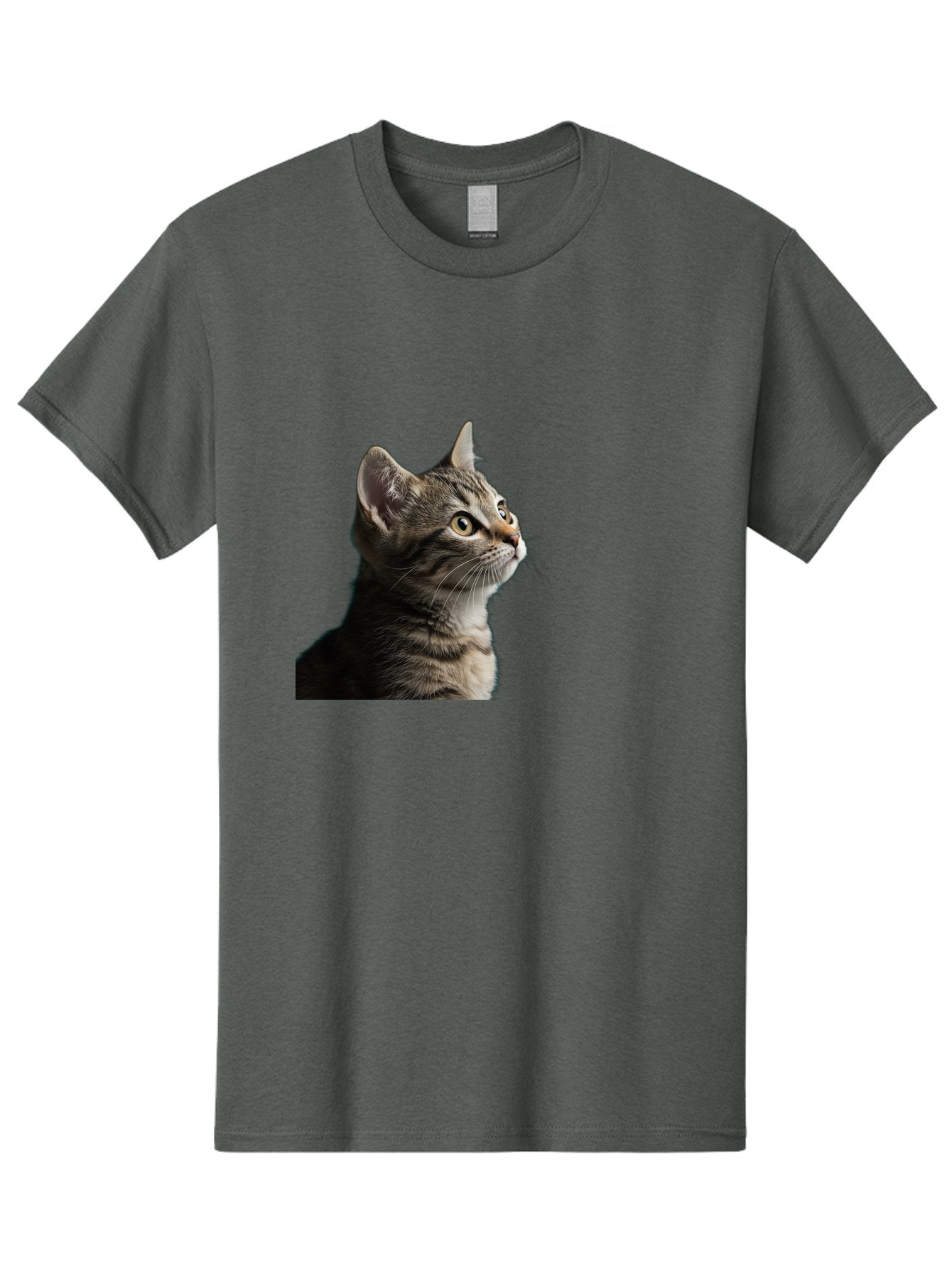 Cat-Looking-Up Men'S Graphic Tee, 100% Cotton, Comfortable Casual Summer Wear, Machine Washable, Vintage Camera, Old Camera, Antique Camera, Black Camera, Classic Photography, Photography Equipment, Nostalgic Device, Film Camera, Camera Art Bai633