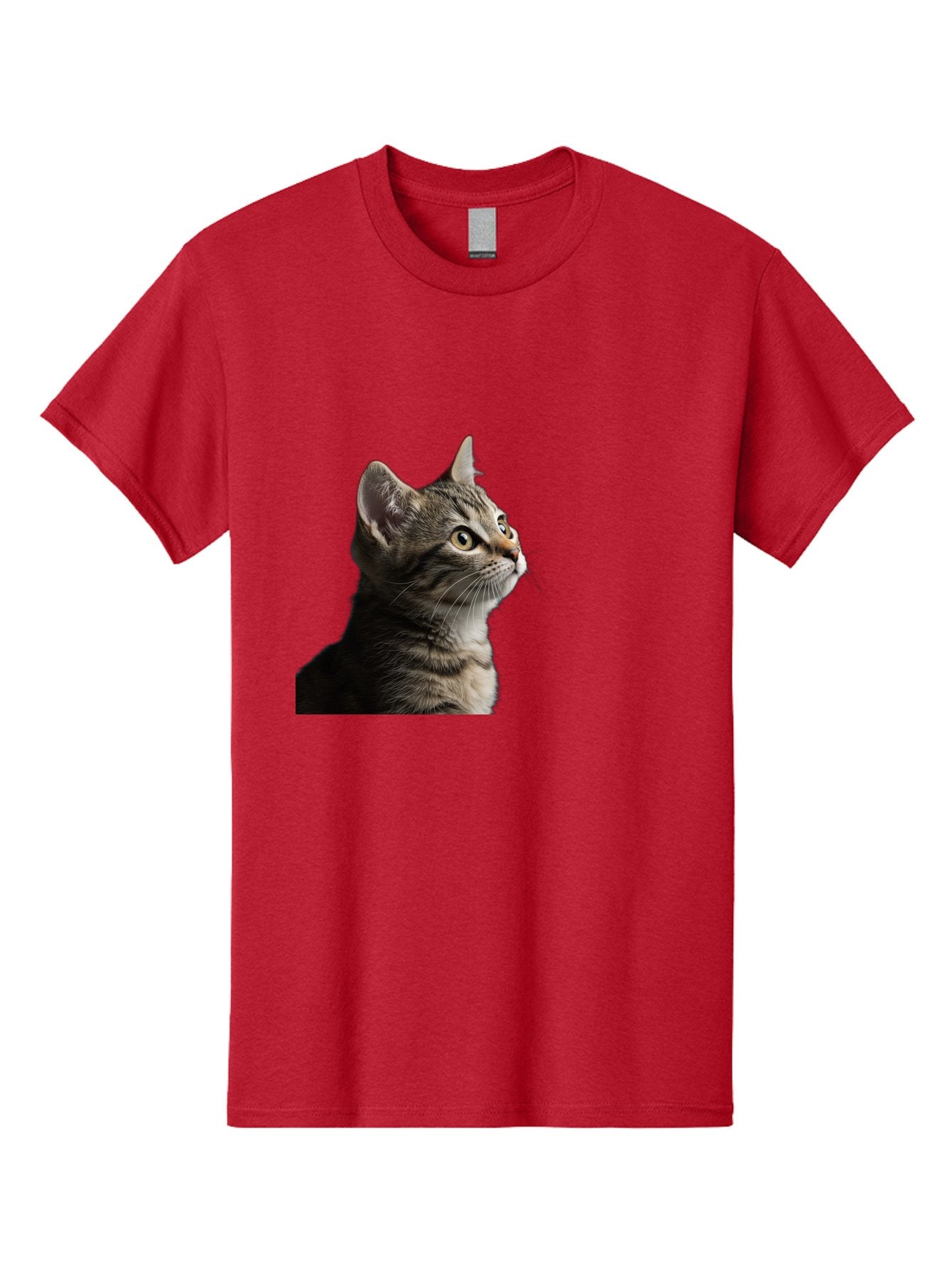 Cat-Looking-Up Men'S Graphic Tee, 100% Cotton, Comfortable Casual Summer Wear, Machine Washable, Vintage Camera, Old Camera, Antique Camera, Black Camera, Classic Photography, Photography Equipment, Nostalgic Device, Film Camera, Camera Art Bai633 5