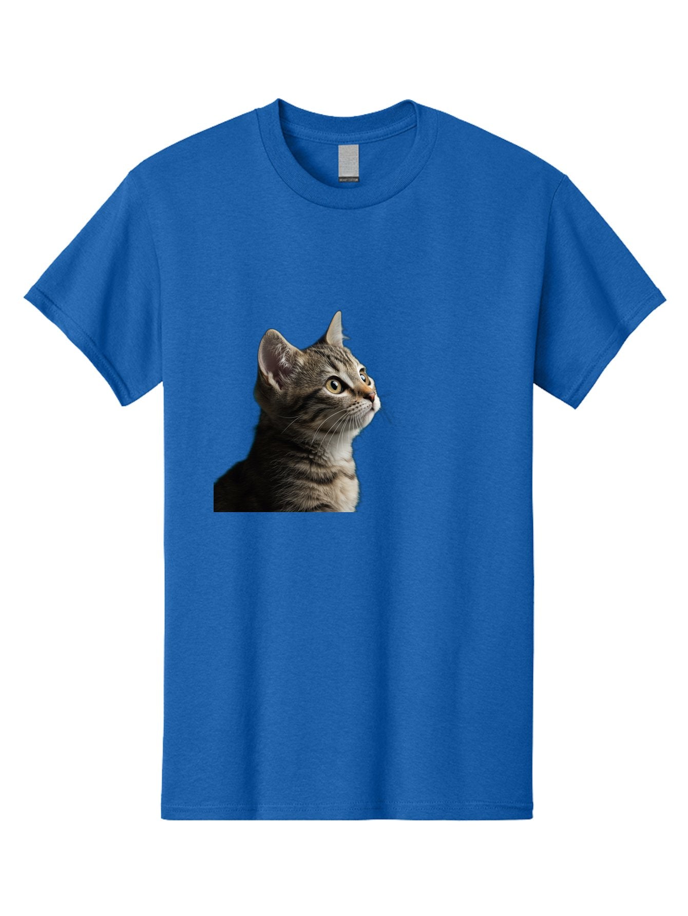 Cat-Looking-Up Men'S Graphic Tee, 100% Cotton, Comfortable Casual Summer Wear, Machine Washable, Vintage Camera, Old Camera, Antique Camera, Black Camera, Classic Photography, Photography Equipment, Nostalgic Device, Film Camera, Camera Art Bai633 10