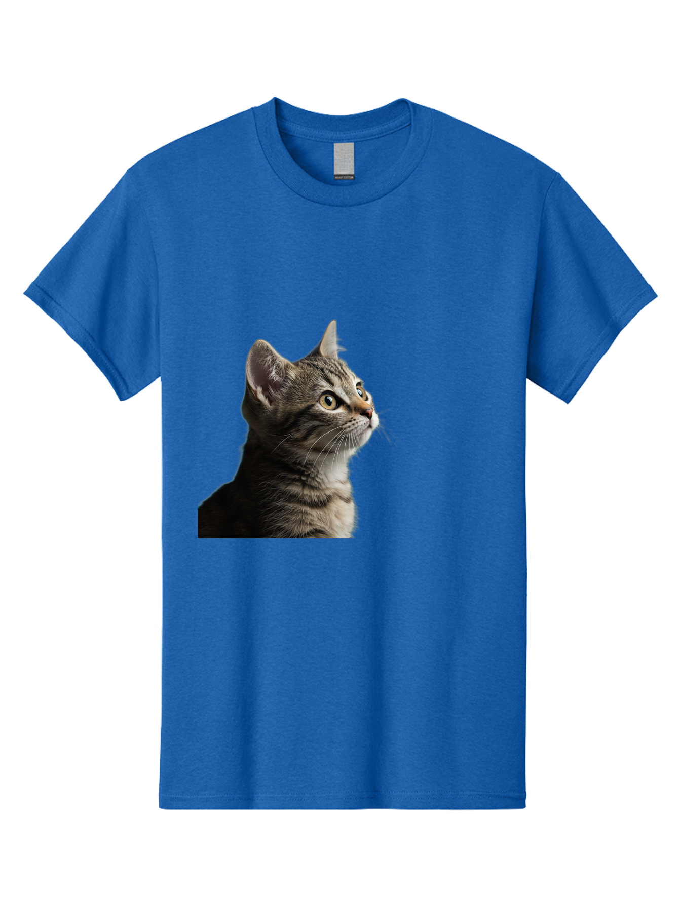 Cat-Looking-Up Men'S Graphic Tee, 100% Cotton, Comfortable Casual Summer Wear, Machine Washable, Vintage Camera, Old Camera, Antique Camera, Black Camera, Classic Photography, Photography Equipment, Nostalgic Device, Film Camera, Camera Art Bai633 14