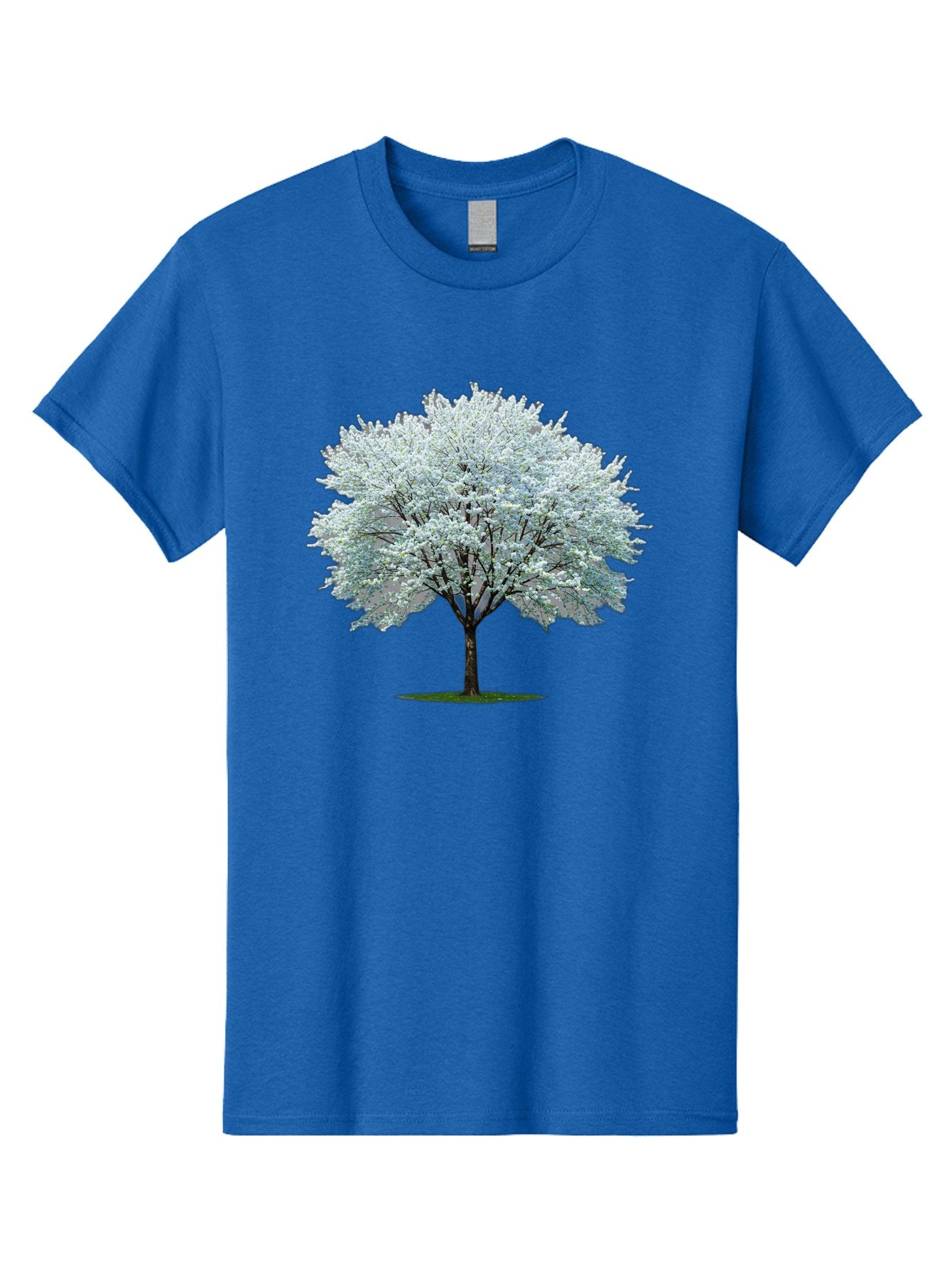 Flowering-Tree-1 Men'S Graphic Tee, 100% Cotton, Comfortable Casual Summer Wear, Machine Washable, Vintage Camera, Old Camera, Antique Camera, Black Camera, Classic Photography, Photography Equipment, Nostalgic Device, Film Camera, Camera Art Bai894 13