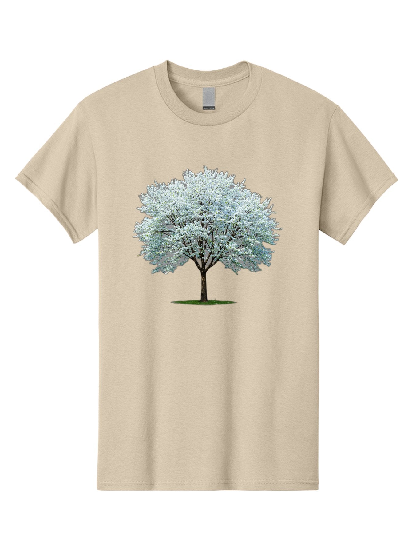 Flowering-Tree-1 Men'S Graphic Tee, 100% Cotton, Comfortable Casual Summer Wear, Machine Washable, Vintage Camera, Old Camera, Antique Camera, Black Camera, Classic Photography, Photography Equipment, Nostalgic Device, Film Camera, Camera Art Bai894 6