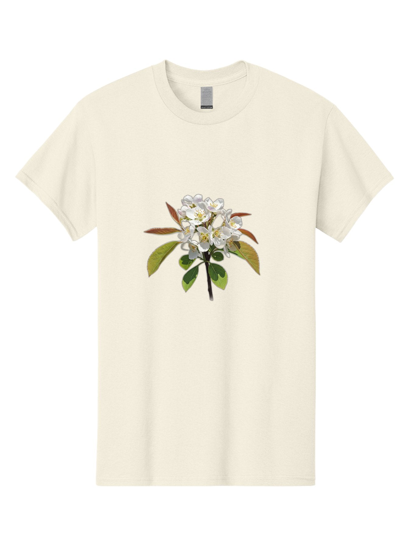 Pear-Blossom Men'S Graphic Tee, 100% Cotton, Comfortable Casual Summer Wear, Machine Washable, Vintage Camera, Old Camera, Antique Camera, Black Camera, Classic Photography, Photography Equipment, Nostalgic Device, Film Camera, Camera Art Baj157 13