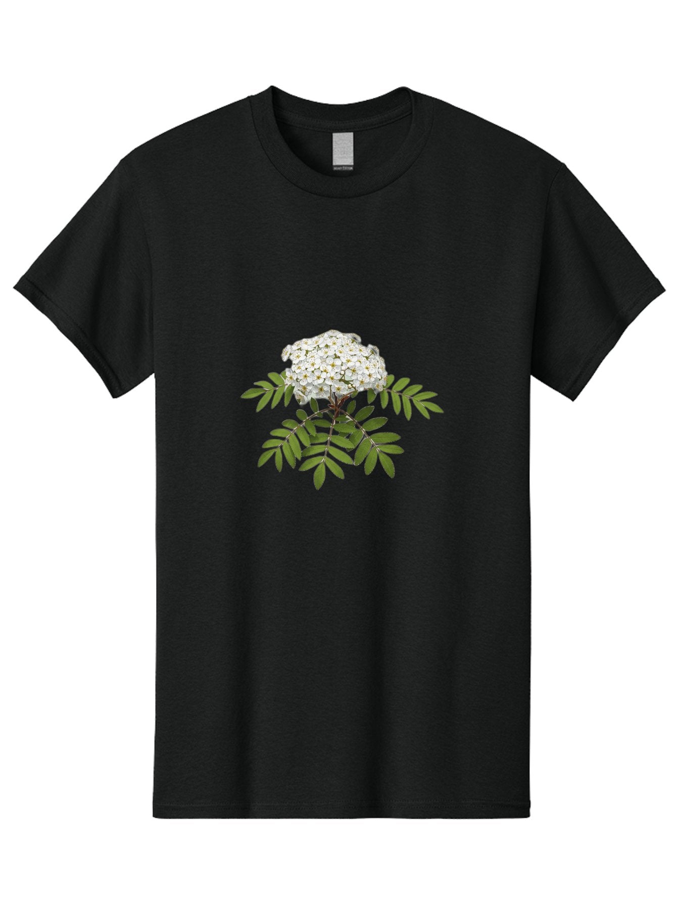 Rowan-Tree-Flowers Men'S Graphic Tee, 100% Cotton, Comfortable Casual Summer Wear, Machine Washable, Vintage Camera, Old Camera, Antique Camera, Black Camera, Classic Photography, Photography Equipment, Nostalgic Device, Film Camera, Baj244 9