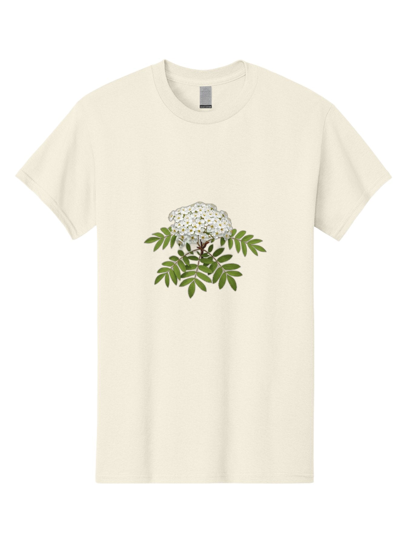 Rowan-Tree-Flowers Men'S Graphic Tee, 100% Cotton, Comfortable Casual Summer Wear, Machine Washable, Vintage Camera, Old Camera, Antique Camera, Black Camera, Classic Photography, Photography Equipment, Nostalgic Device, Film Camera, Baj244 14