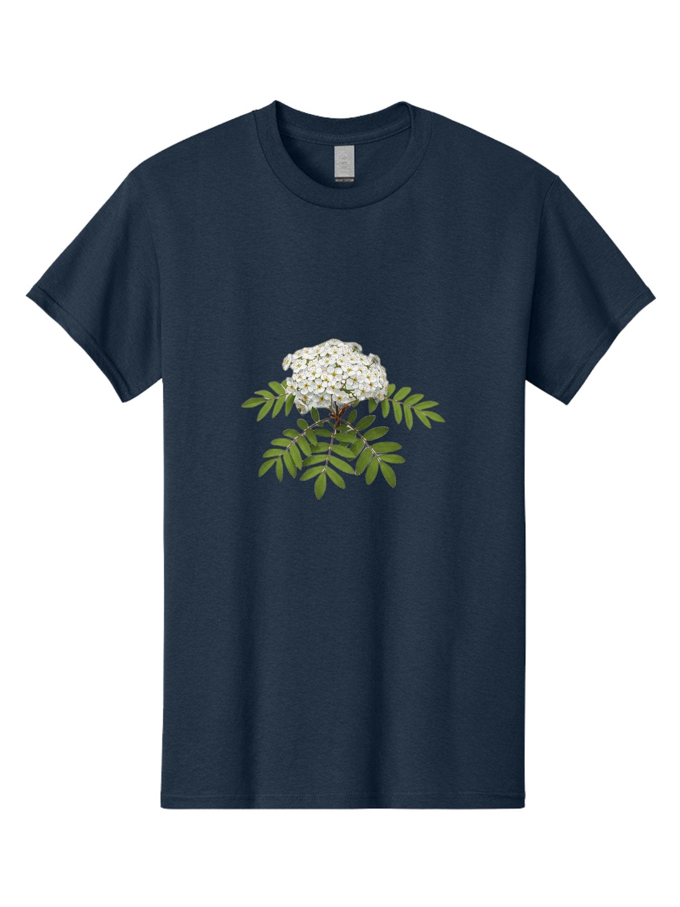 Rowan-Tree-Flowers Men'S Graphic Tee, 100% Cotton, Comfortable Casual Summer Wear, Machine Washable, Vintage Camera, Old Camera, Antique Camera, Black Camera, Classic Photography, Photography Equipment, Nostalgic Device, Film Camera, Baj244 11
