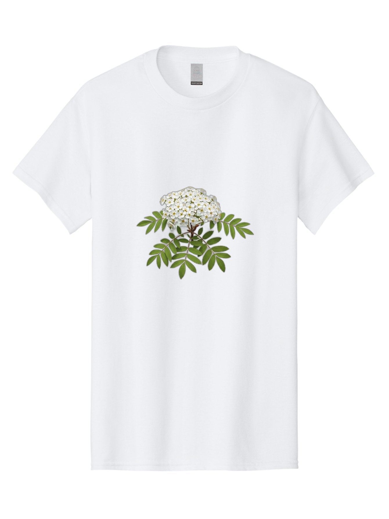 Rowan-Tree-Flowers Men'S Graphic Tee, 100% Cotton, Comfortable Casual Summer Wear, Machine Washable, Vintage Camera, Old Camera, Antique Camera, Black Camera, Classic Photography, Photography Equipment, Nostalgic Device, Film Camera, Baj244 12