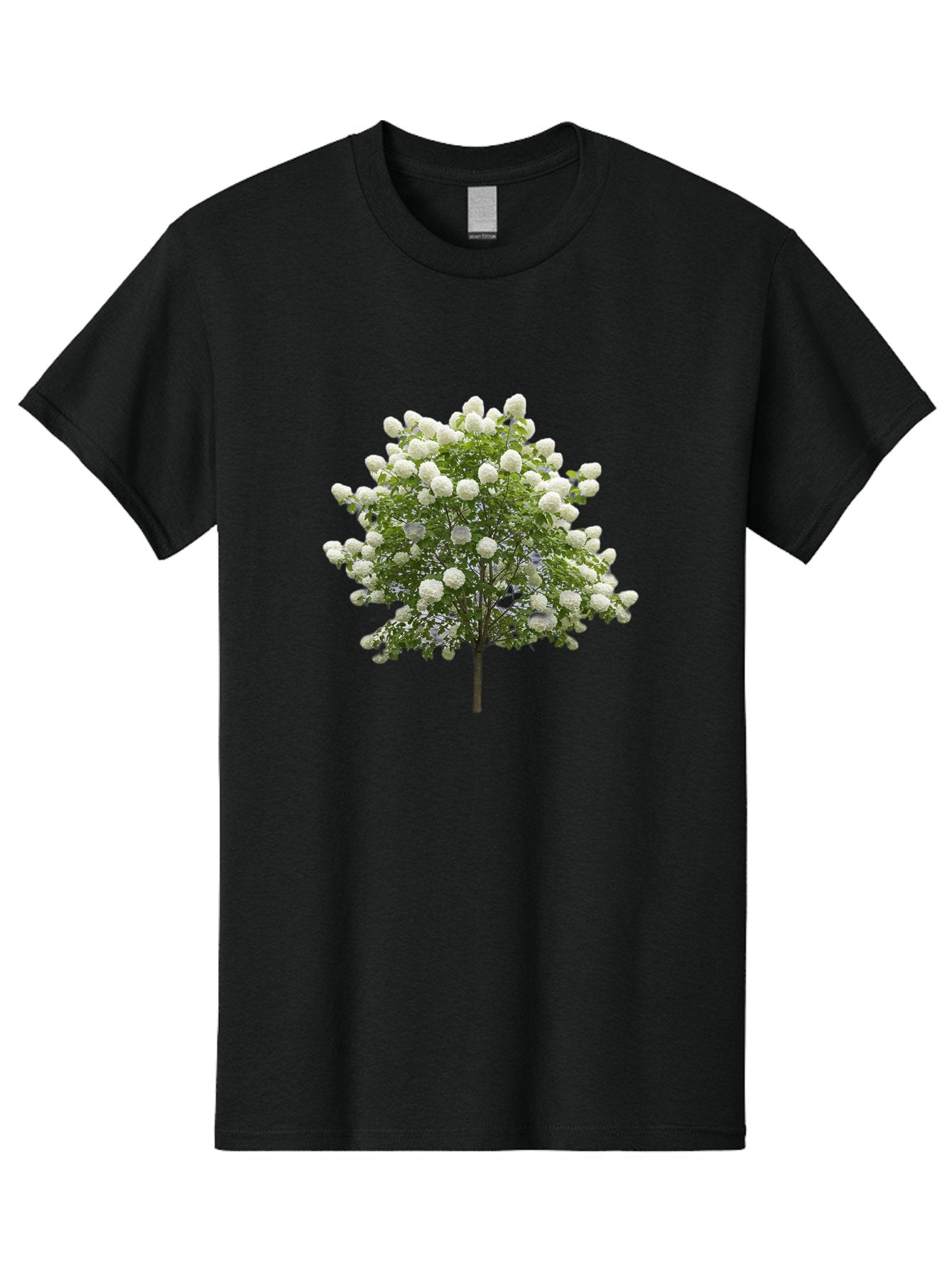 Tree-With-White-Flowers Men'S Graphic Tee, 100% Cotton, Comfortable Casual Summer Wear, Machine Washable, Vintage Camera, Old Camera, Antique Camera, Black Camera, Classic Photography, Photography Equipment, Nostalgic Device, Film Camera, Baj277 14