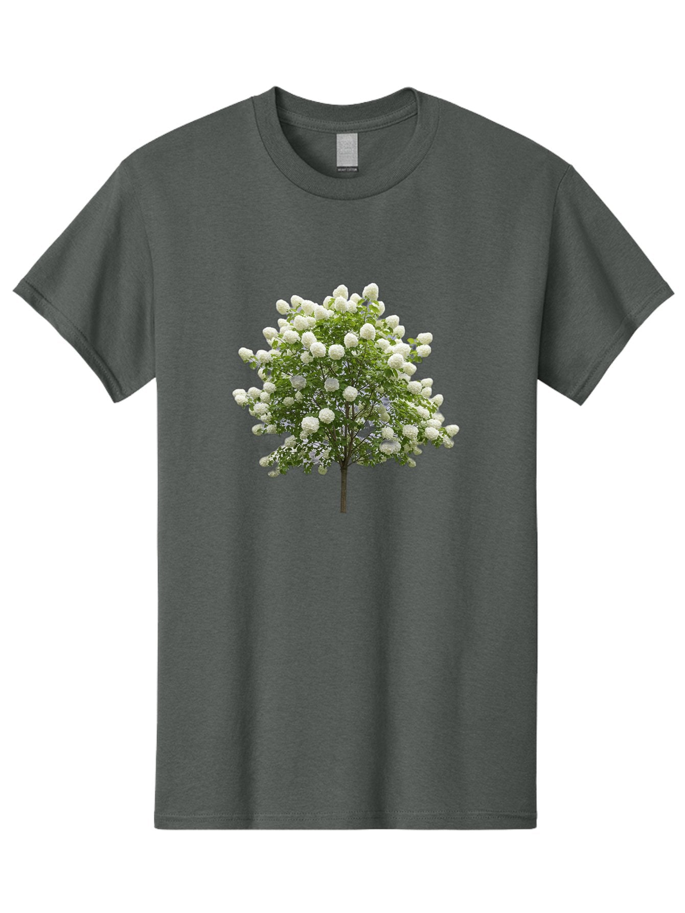 Tree-With-White-Flowers Men'S Graphic Tee, 100% Cotton, Comfortable Casual Summer Wear, Machine Washable, Vintage Camera, Old Camera, Antique Camera, Black Camera, Classic Photography, Photography Equipment, Nostalgic Device, Film Camera, Baj277 10
