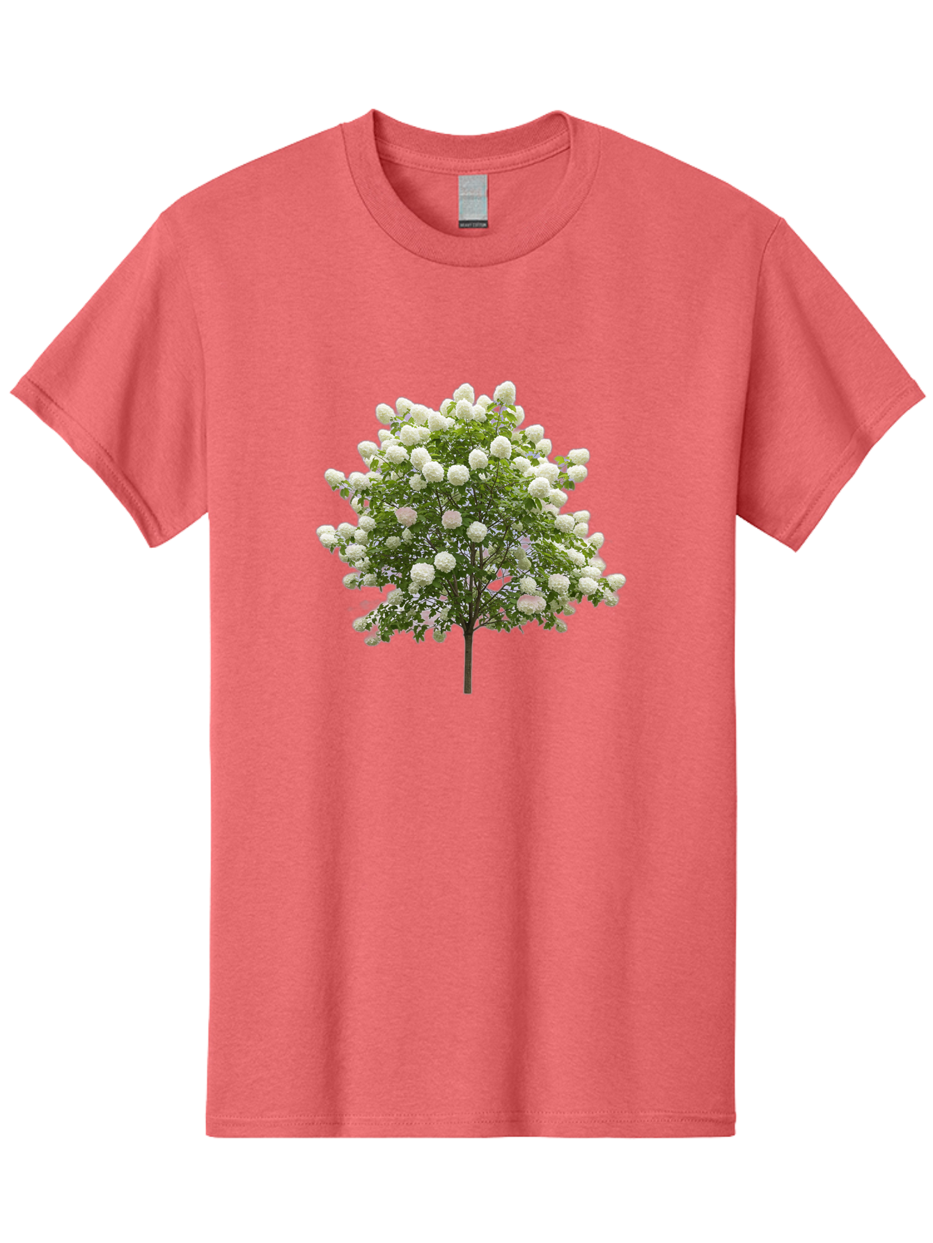 Tree-With-White-Flowers Men'S Graphic Tee, 100% Cotton, Comfortable Casual Summer Wear, Machine Washable, Vintage Camera, Old Camera, Antique Camera, Black Camera, Classic Photography, Photography Equipment, Nostalgic Device, Film Camera, Baj277 4
