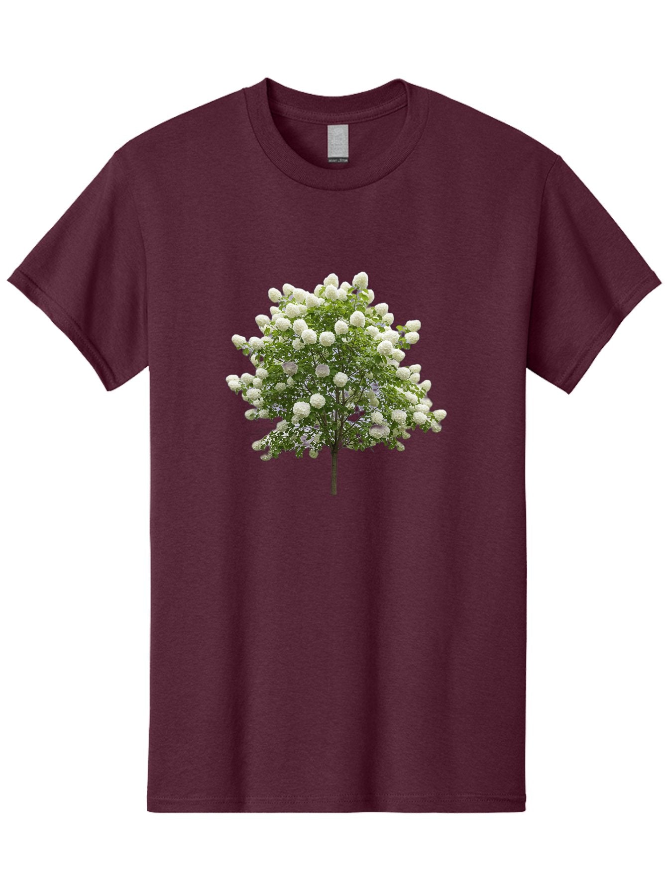 Tree-With-White-Flowers Men'S Graphic Tee, 100% Cotton, Comfortable Casual Summer Wear, Machine Washable, Vintage Camera, Old Camera, Antique Camera, Black Camera, Classic Photography, Photography Equipment, Nostalgic Device, Film Camera, Baj277 6