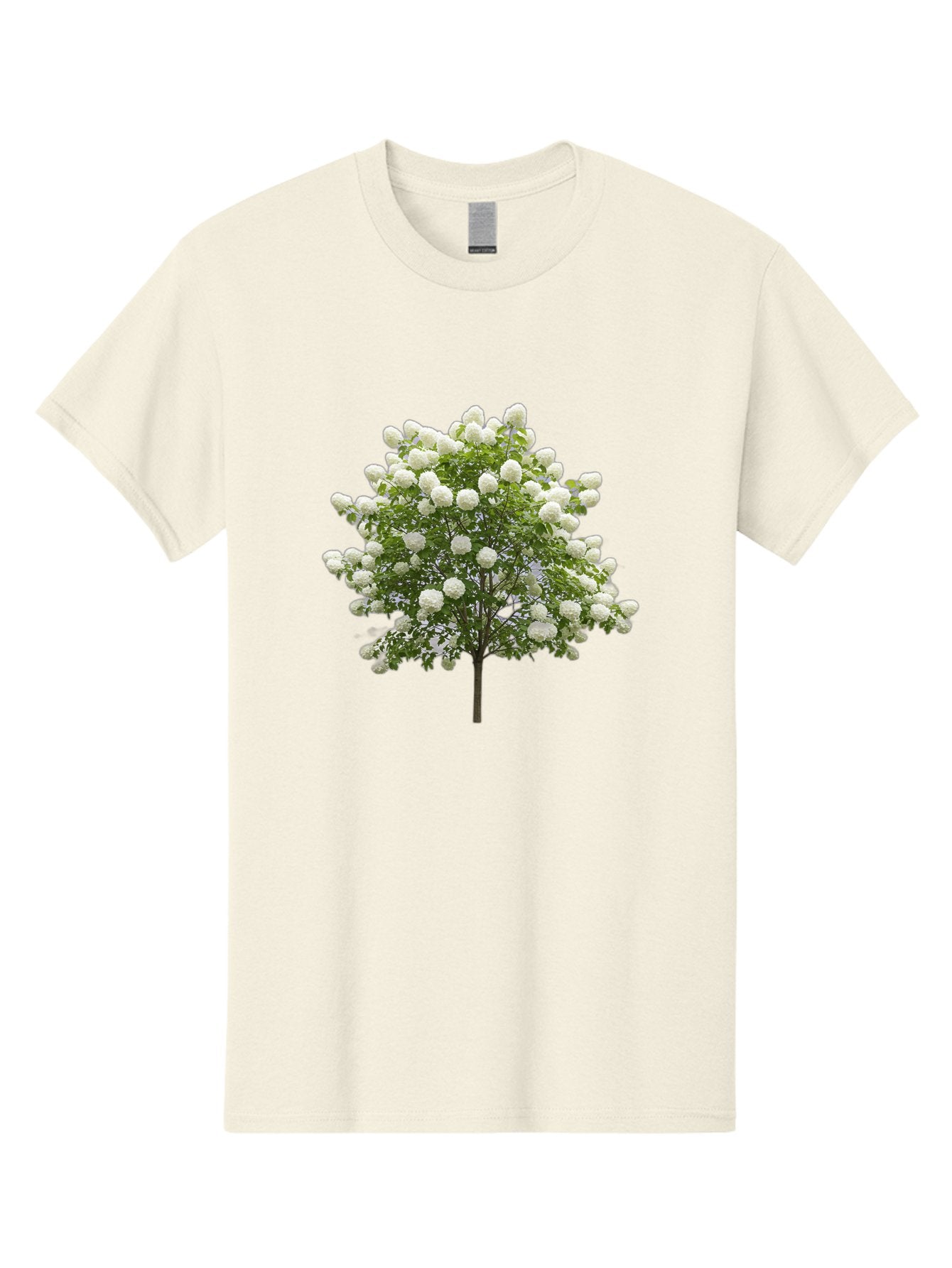 Tree-With-White-Flowers Men'S Graphic Tee, 100% Cotton, Comfortable Casual Summer Wear, Machine Washable, Vintage Camera, Old Camera, Antique Camera, Black Camera, Classic Photography, Photography Equipment, Nostalgic Device, Film Camera, Baj277 7
