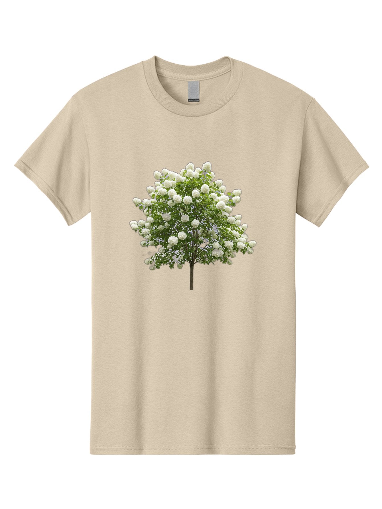 Tree-With-White-Flowers Men'S Graphic Tee, 100% Cotton, Comfortable Casual Summer Wear, Machine Washable, Vintage Camera, Old Camera, Antique Camera, Black Camera, Classic Photography, Photography Equipment, Nostalgic Device, Film Camera, Baj277 9