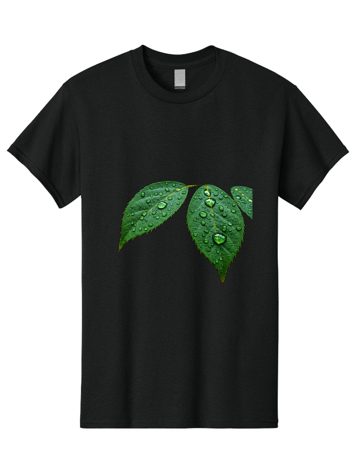 Leaves-With-Water-Droplets Men'S Graphic Tee, 100% Cotton, Comfortable Casual Summer Wear, Machine Washable, Vintage Camera, Old Camera, Antique Camera, Black Camera, Classic Photography, Photography Equipment, Nostalgic Device, Film Camera, Bak803 11