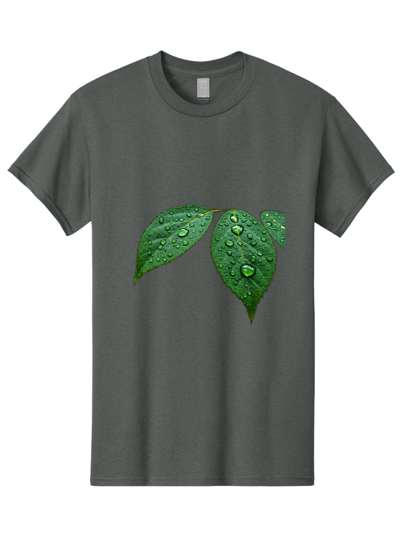 Leaves-With-Water-Droplets Men'S Graphic Tee, 100% Cotton, Comfortable Casual Summer Wear, Machine Washable, Vintage Camera, Old Camera, Antique Camera, Black Camera, Classic Photography, Photography Equipment, Nostalgic Device, Film Camera, Bak803 10