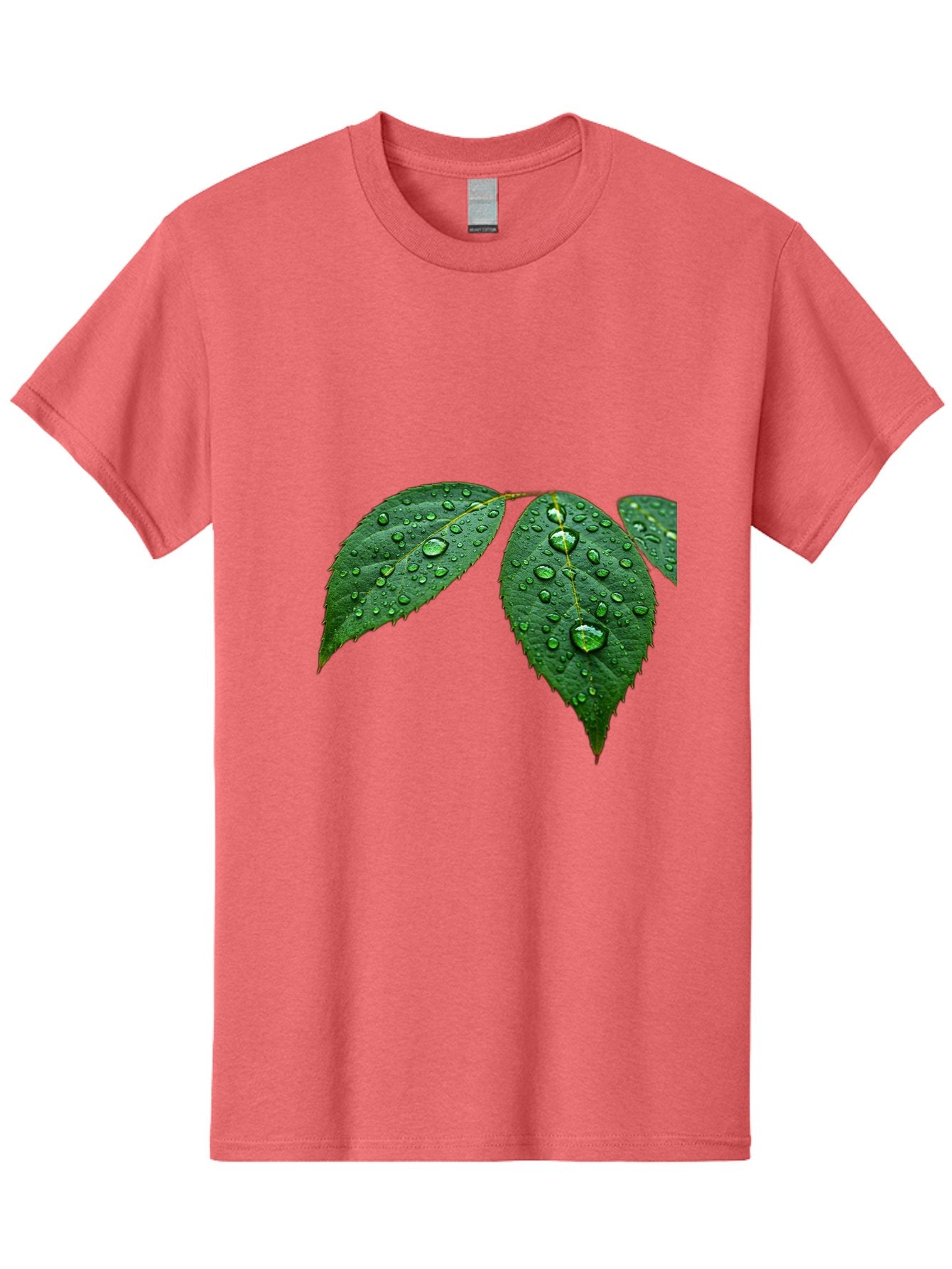 Leaves-With-Water-Droplets Men'S Graphic Tee, 100% Cotton, Comfortable Casual Summer Wear, Machine Washable, Vintage Camera, Old Camera, Antique Camera, Black Camera, Classic Photography, Photography Equipment, Nostalgic Device, Film Camera, Bak803 9