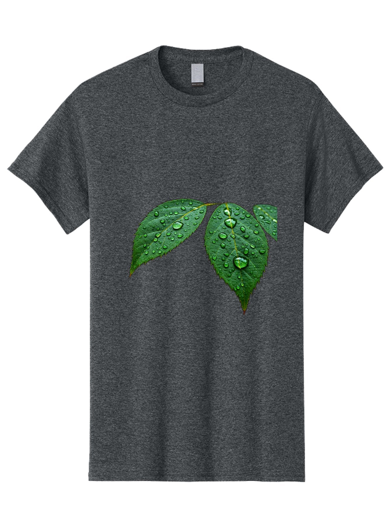 Leaves-With-Water-Droplets Men'S Graphic Tee, 100% Cotton, Comfortable Casual Summer Wear, Machine Washable, Vintage Camera, Old Camera, Antique Camera, Black Camera, Classic Photography, Photography Equipment, Nostalgic Device, Film Camera, Bak803 15