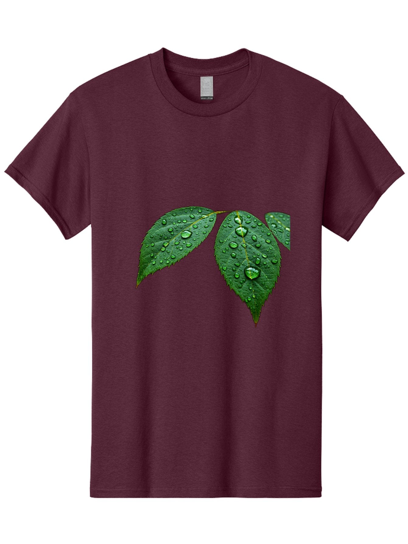 Leaves-With-Water-Droplets Men'S Graphic Tee, 100% Cotton, Comfortable Casual Summer Wear, Machine Washable, Vintage Camera, Old Camera, Antique Camera, Black Camera, Classic Photography, Photography Equipment, Nostalgic Device, Film Camera, Bak803 13